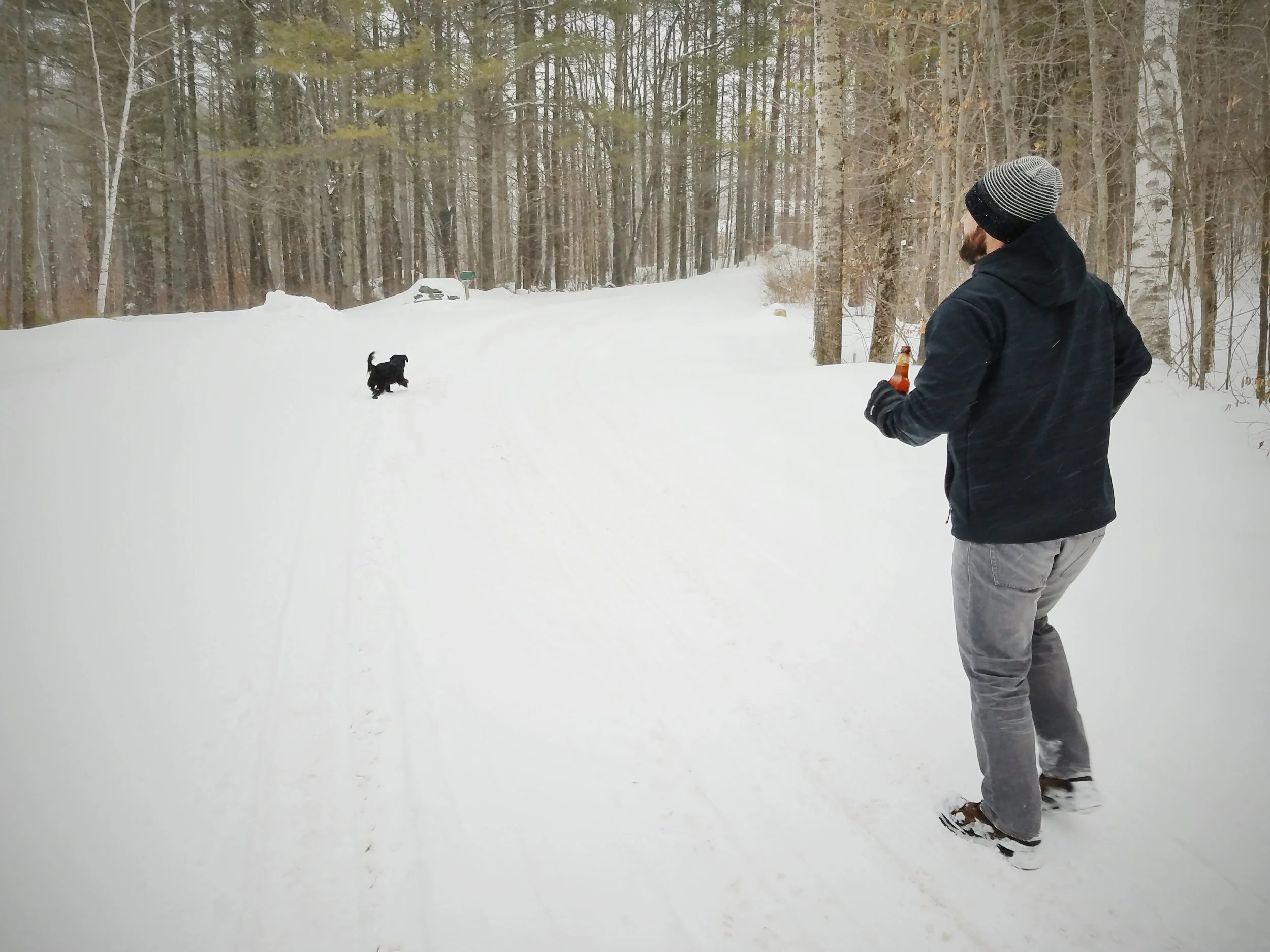 2017-02-13 10.22.52 1.jpg