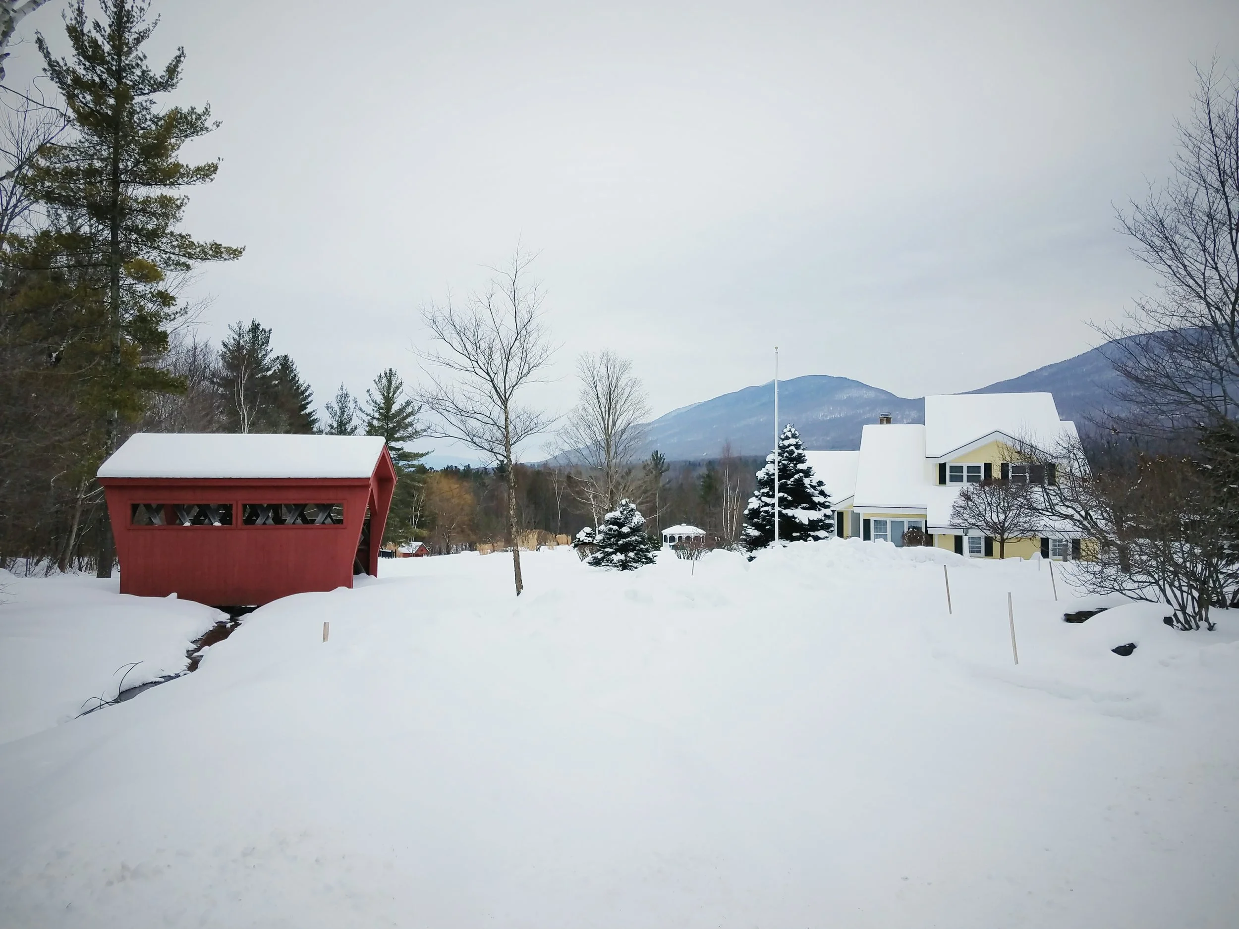 2017-02-13 10.23.26 1.jpg