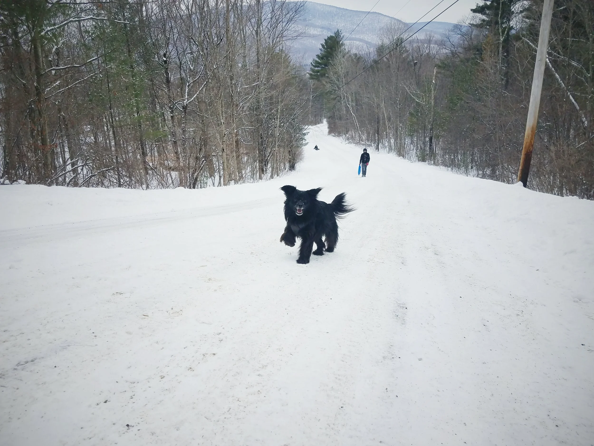 2017-02-13 10.23.38 1.jpg