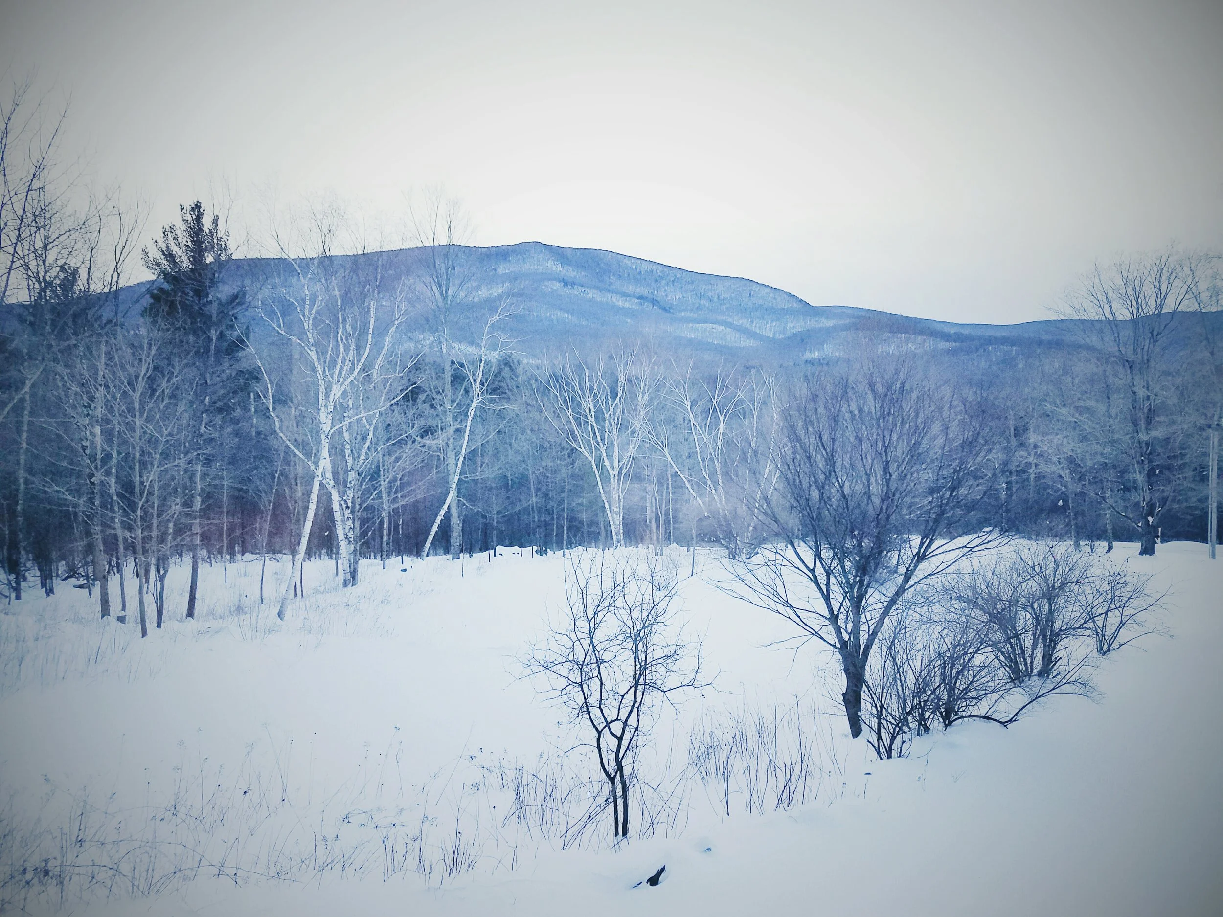 2017-02-13 10.23.44 1.jpg