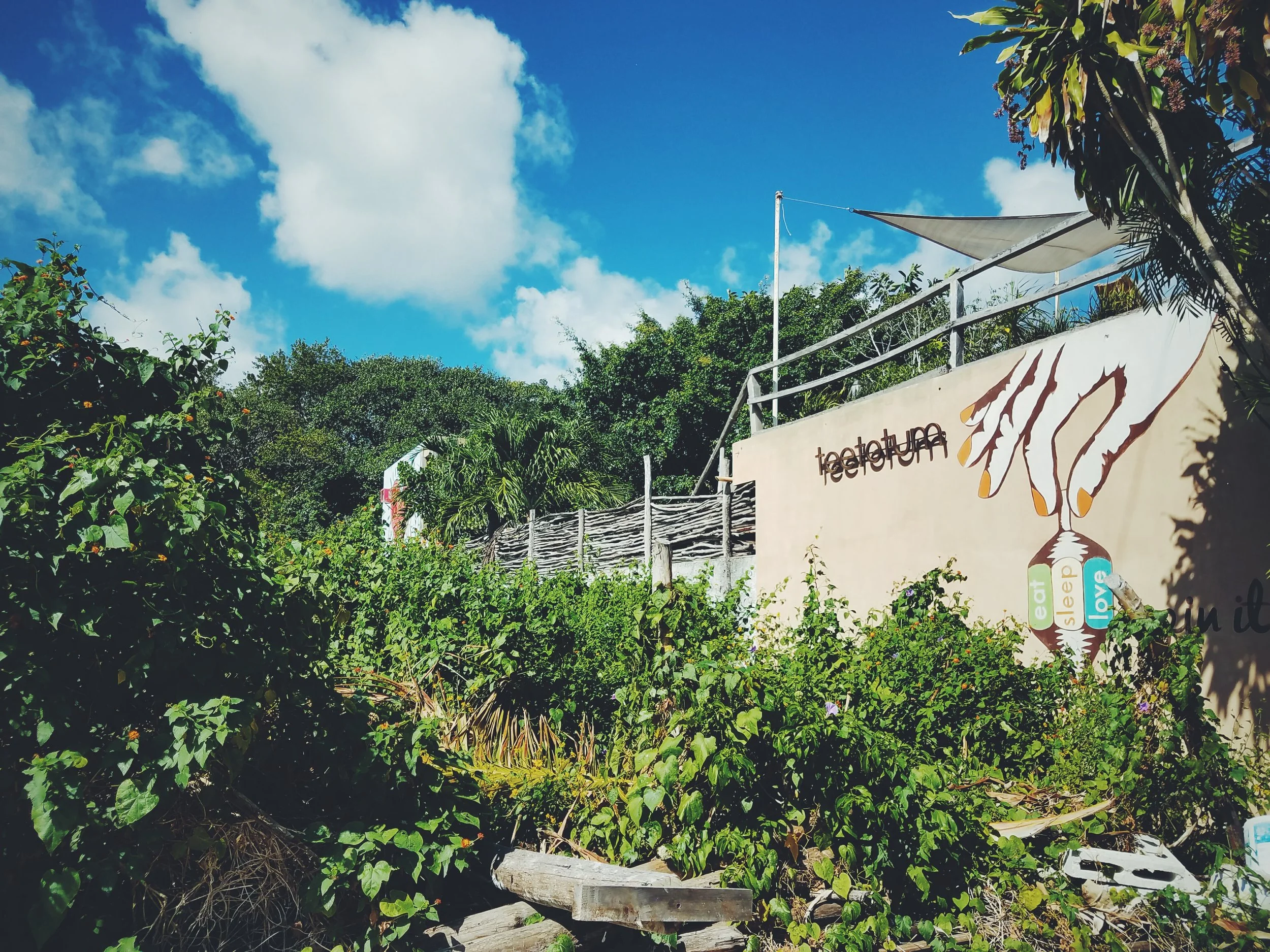 2017-02-18 06.00.46 1.jpg