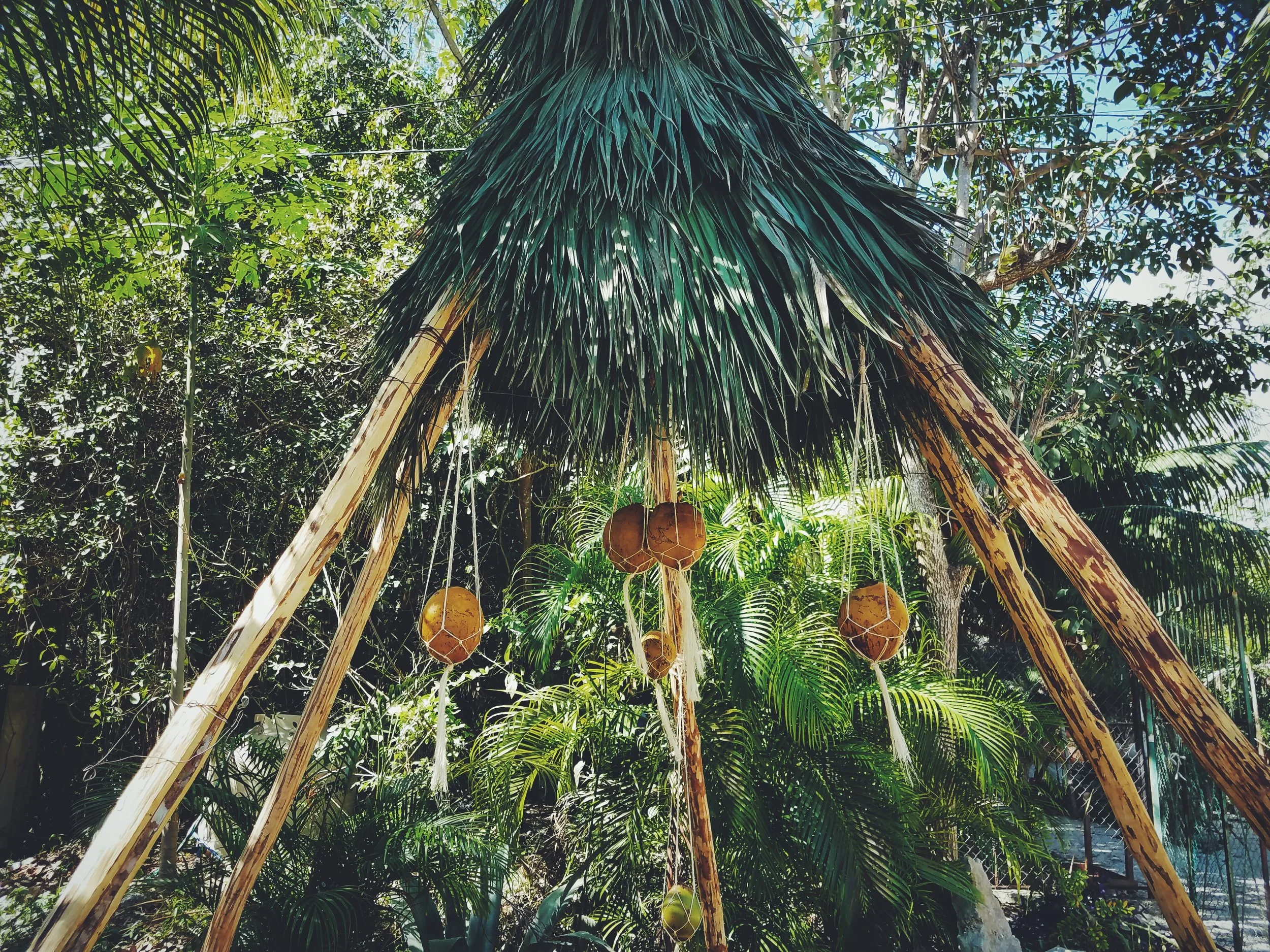 2017-02-18 06.01.02 1.jpg