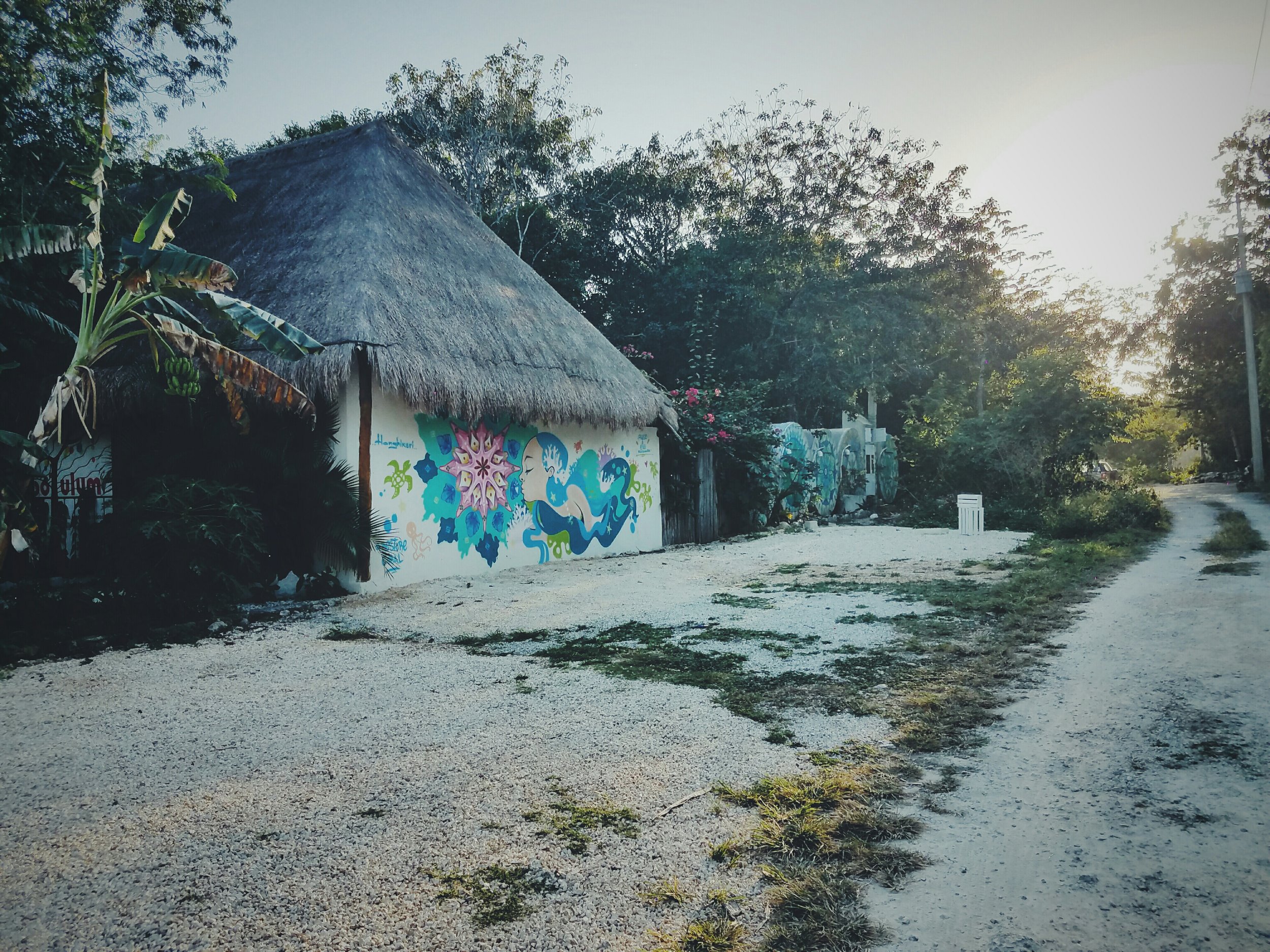 2017-02-18 06.01.25 1.jpg