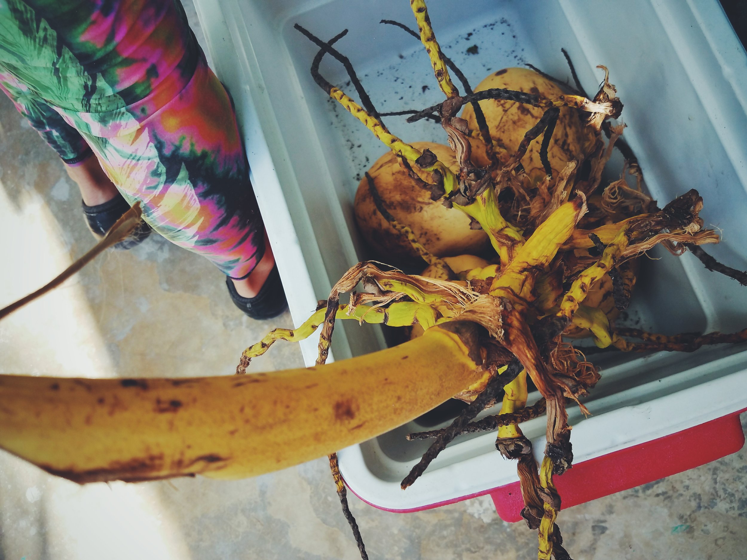 2017-02-18 06.02.39 1.jpg