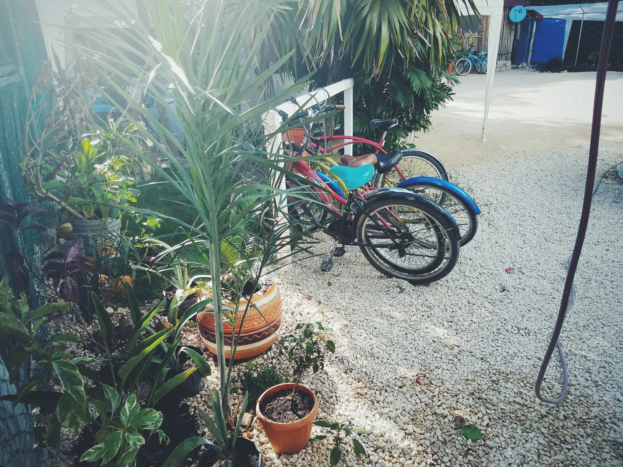 2017-02-18 06.02.38 2.jpg