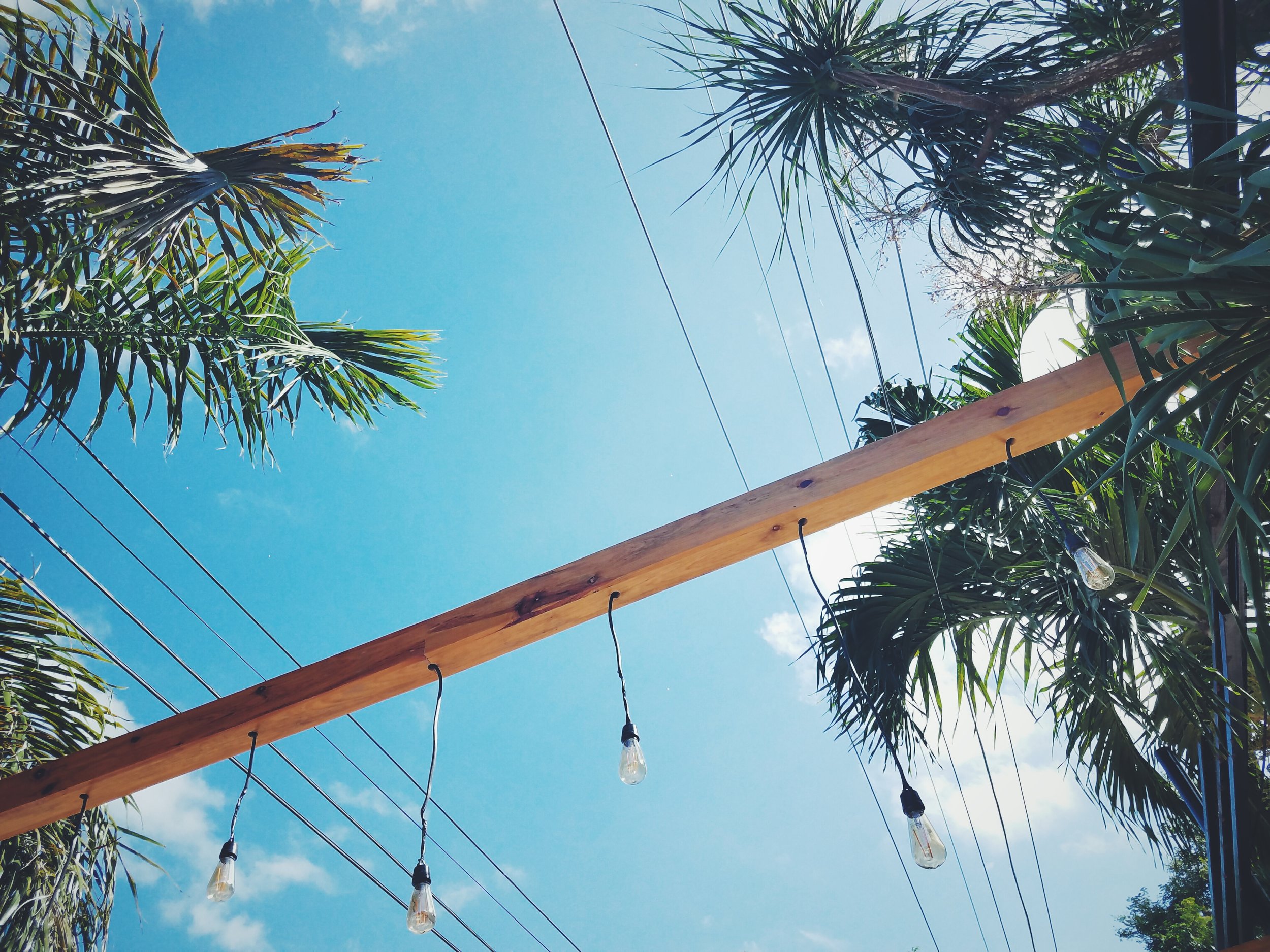 2017-02-18 06.02.42 1.jpg