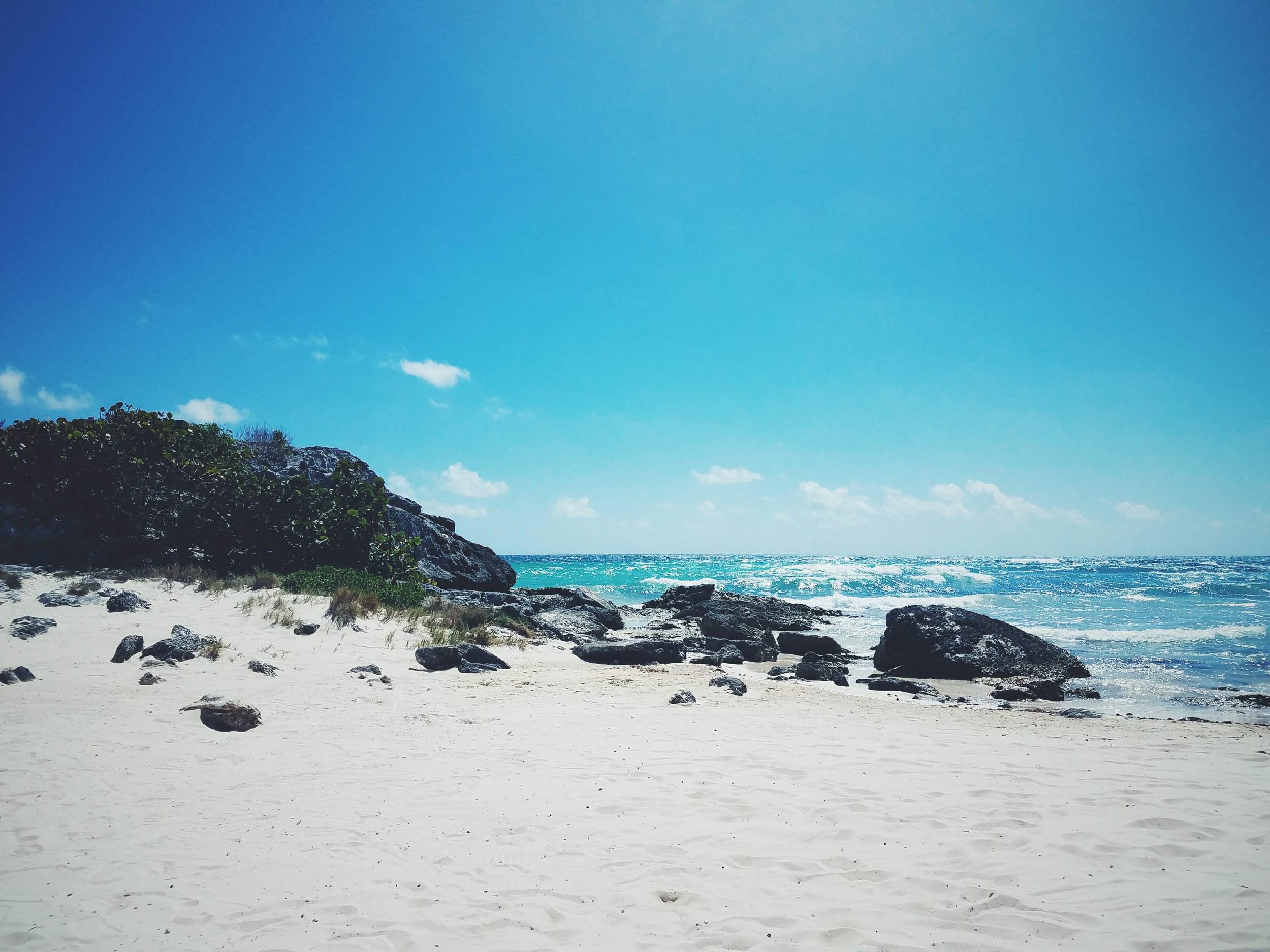 2017-02-18 06.00.42 1.jpg