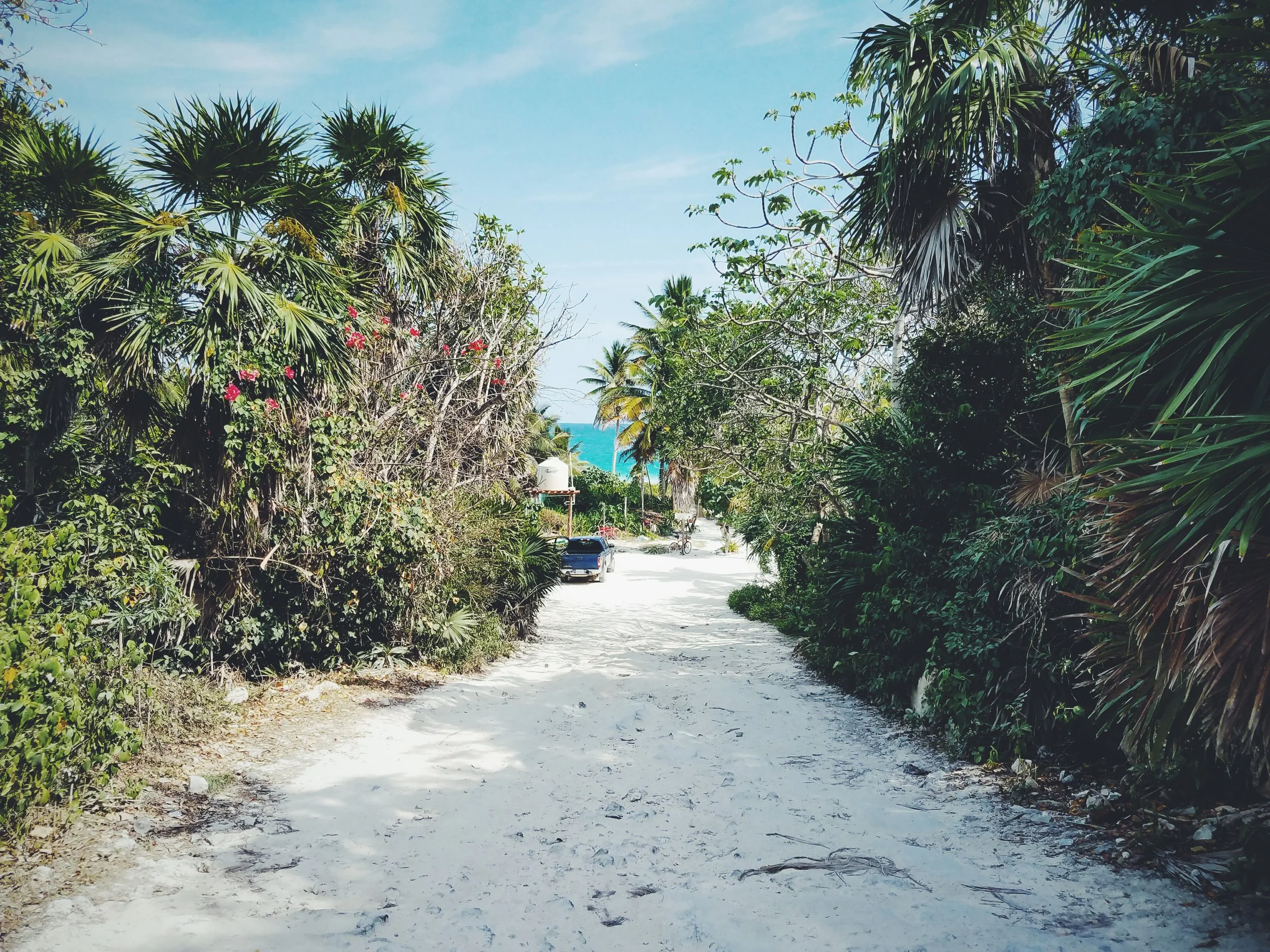 2017-02-18 05.57.26 1.jpg