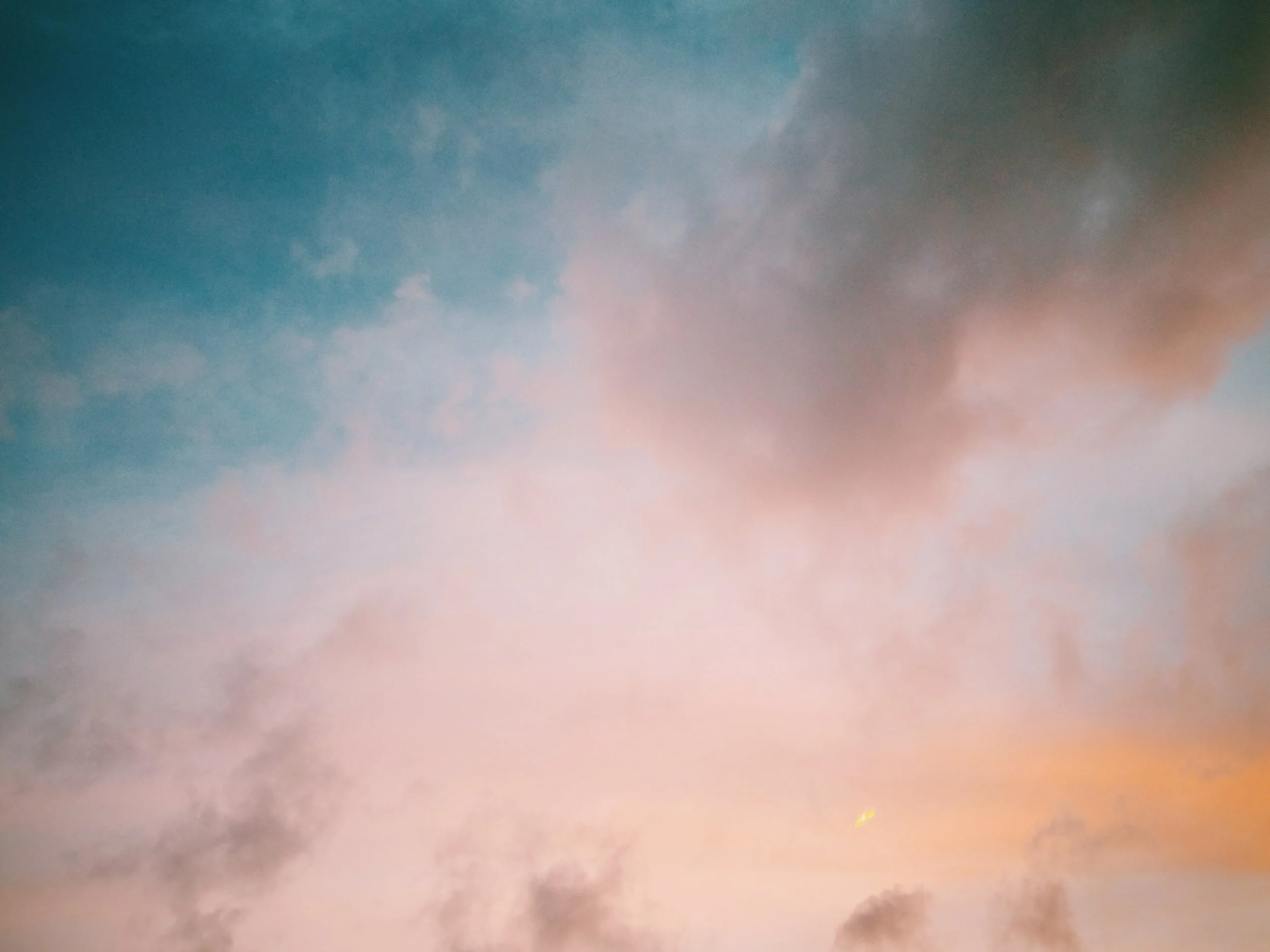 2017-02-18 05.56.35 2.jpg