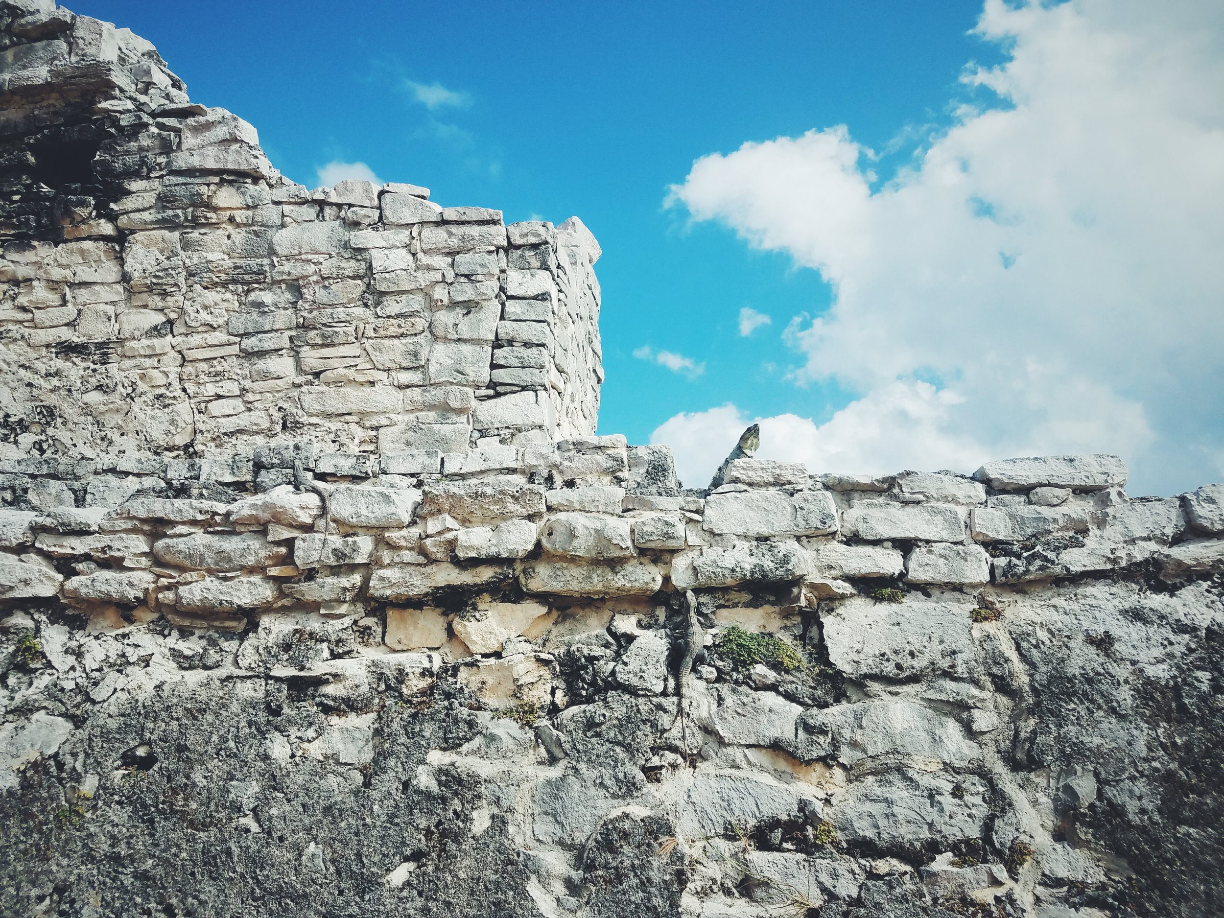 2017-02-18 05.54.10 1.jpg