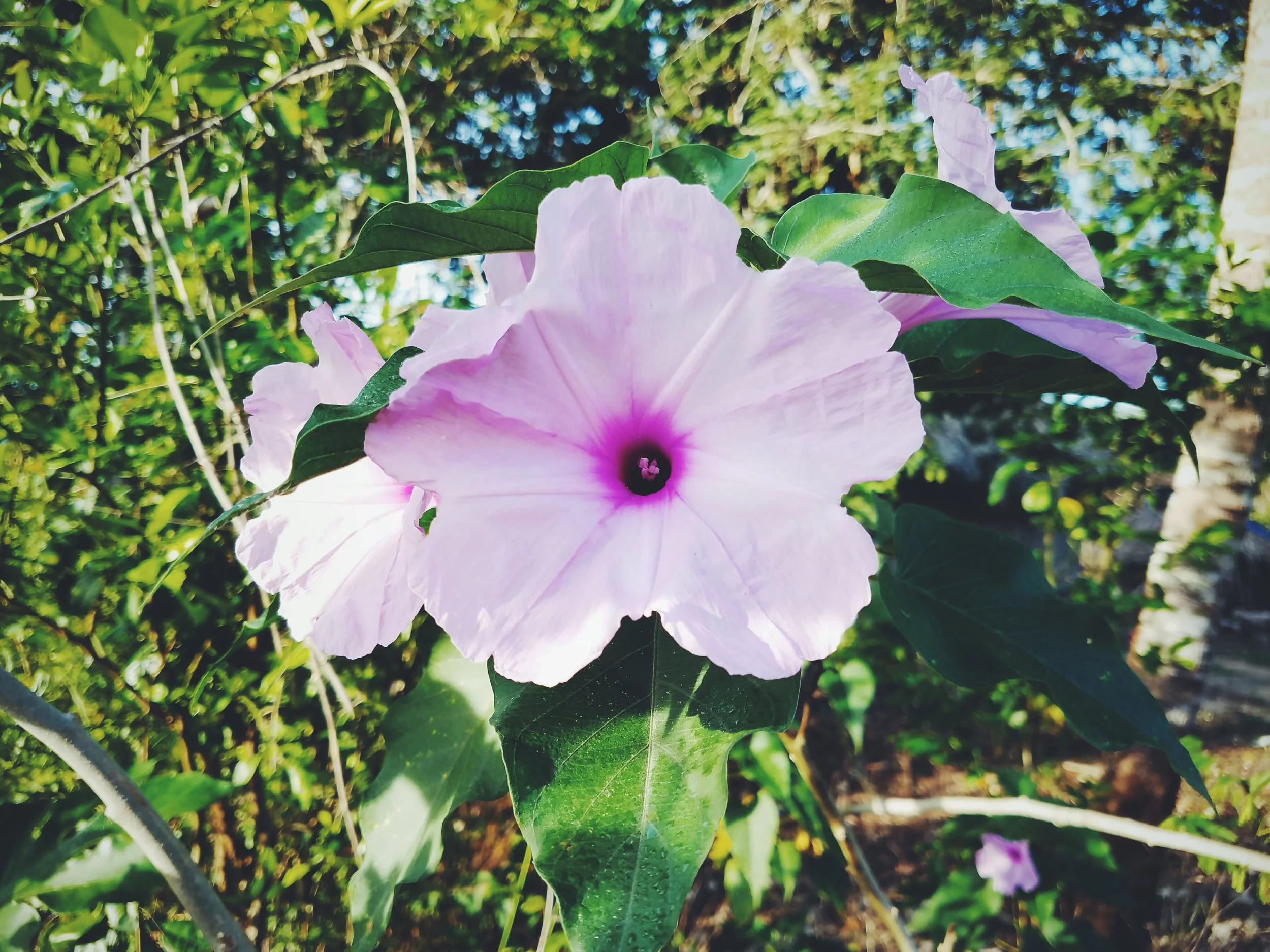 2017-02-18 05.54.25 1.jpg