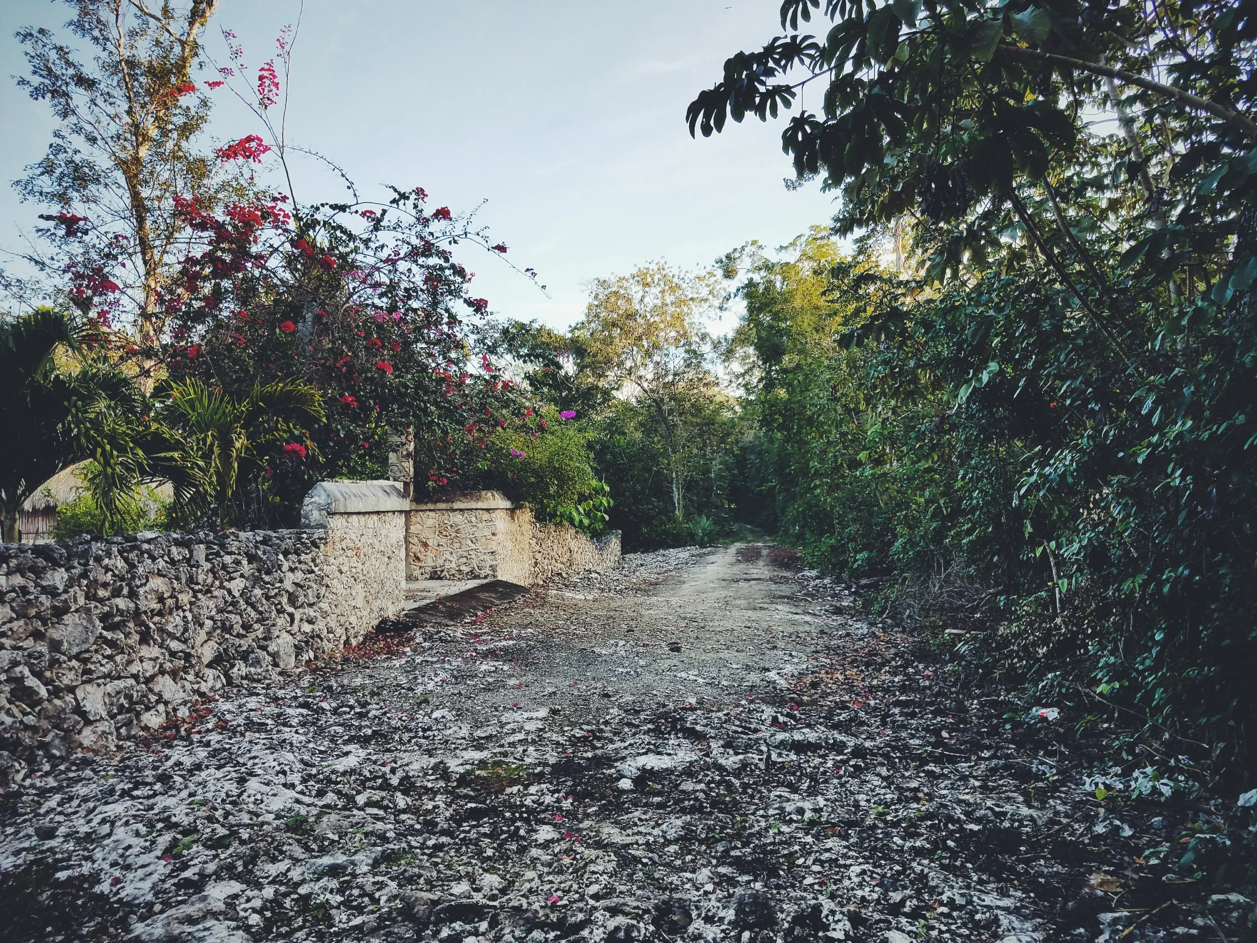 2017-02-18 05.54.29 1.jpg