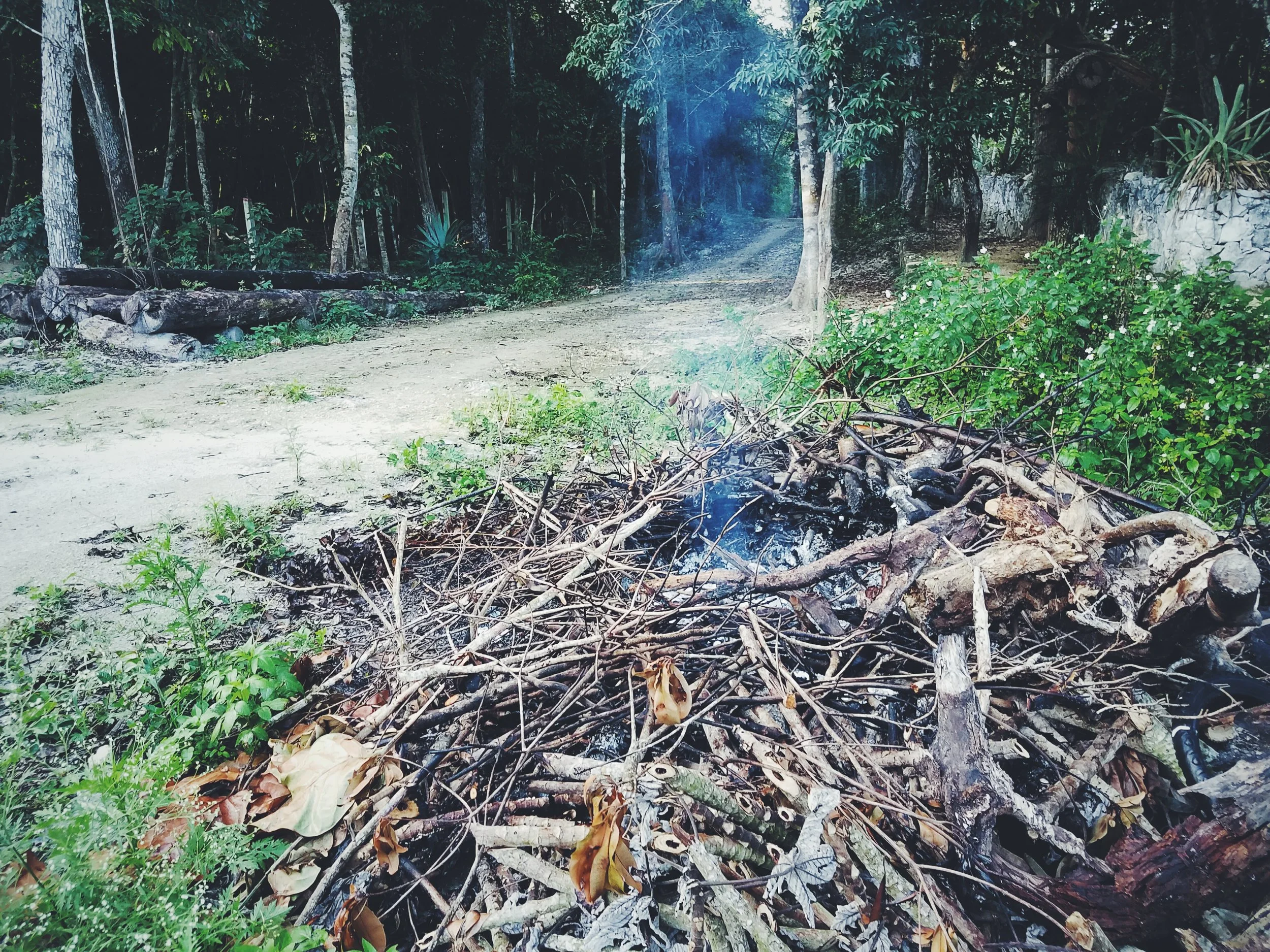 2017-02-18 05.54.35 1.jpg