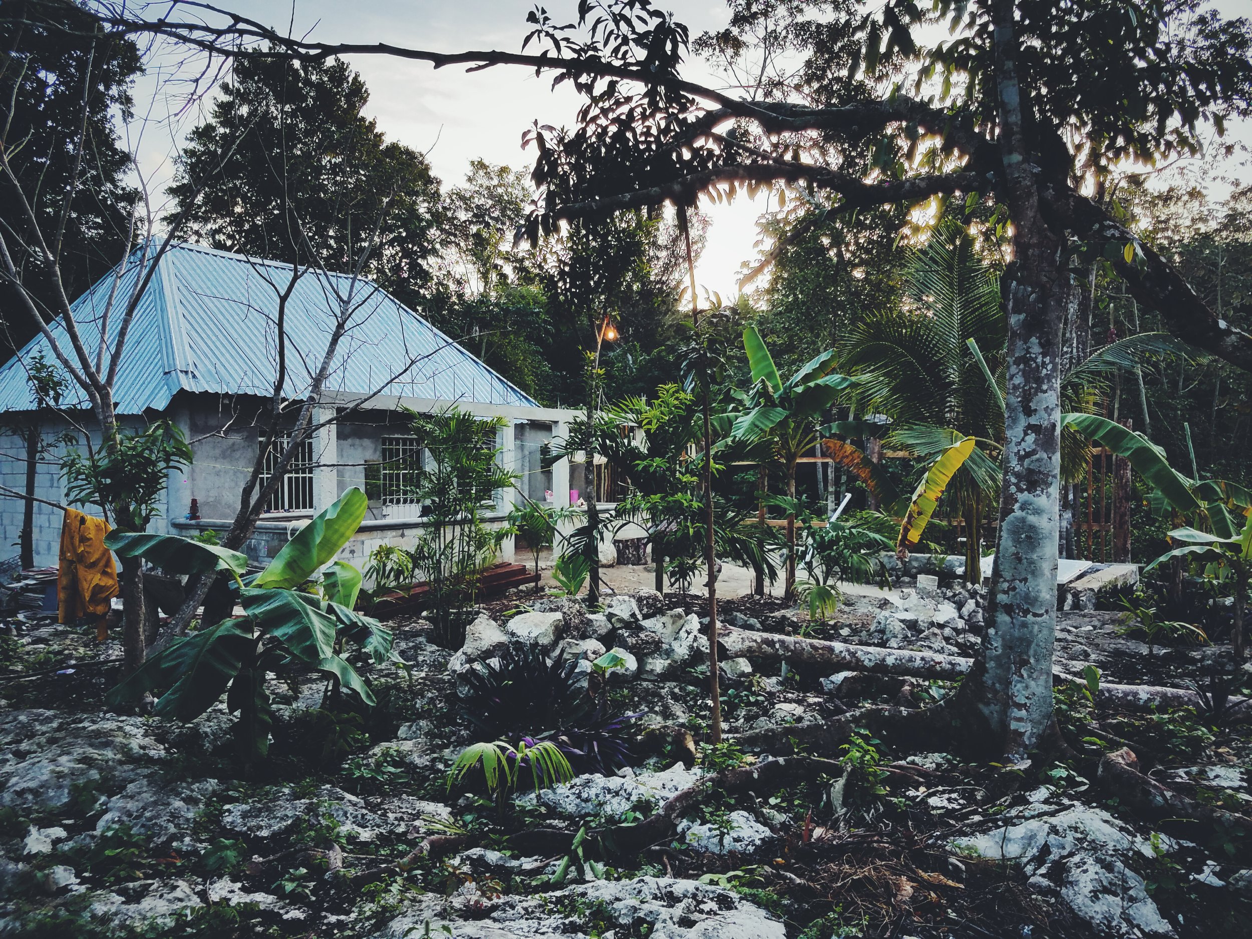 2017-02-18 05.54.40 1.jpg