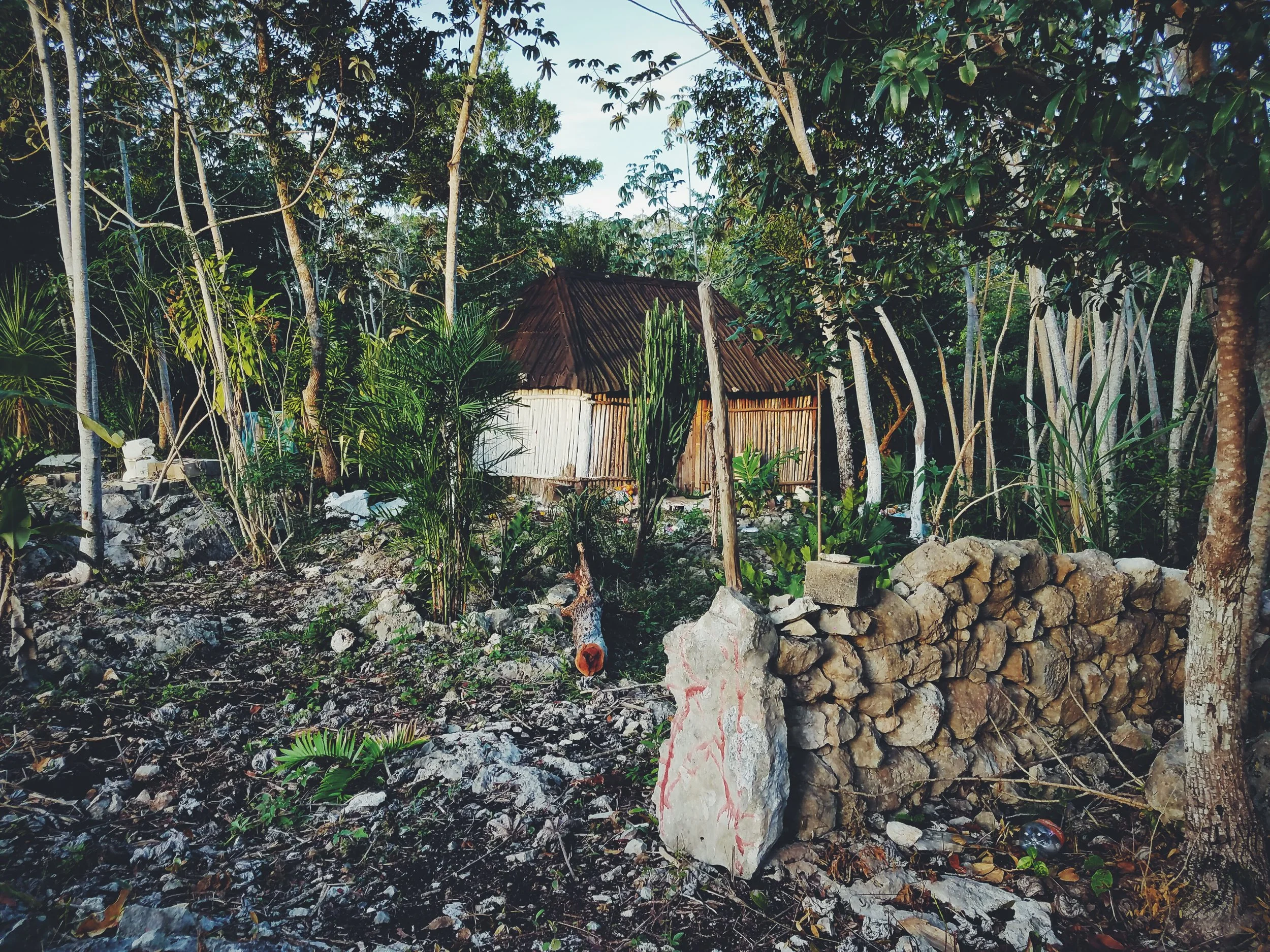 2017-02-18 05.54.42 1.jpg