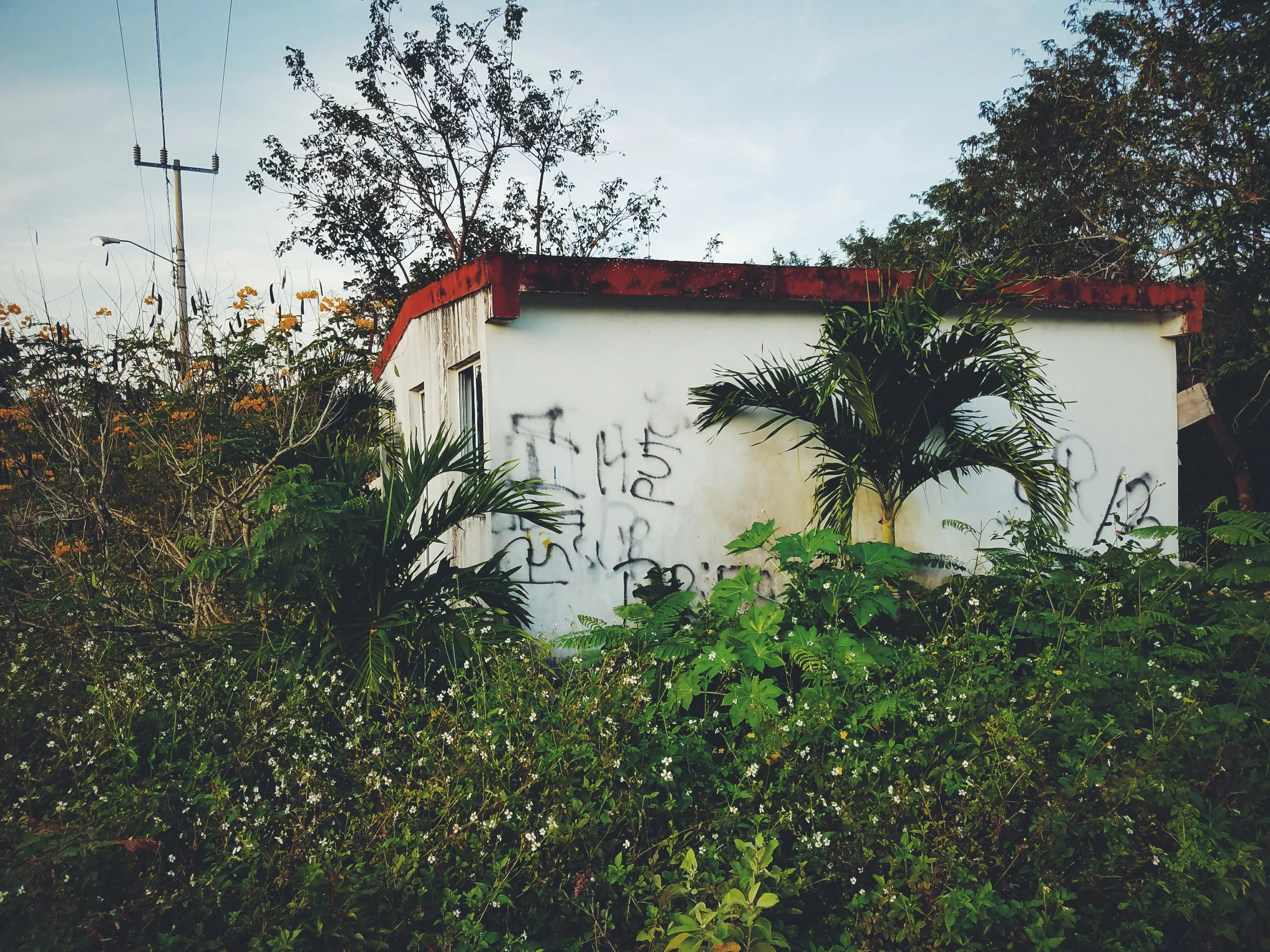 2017-02-18 05.54.45 1.jpg