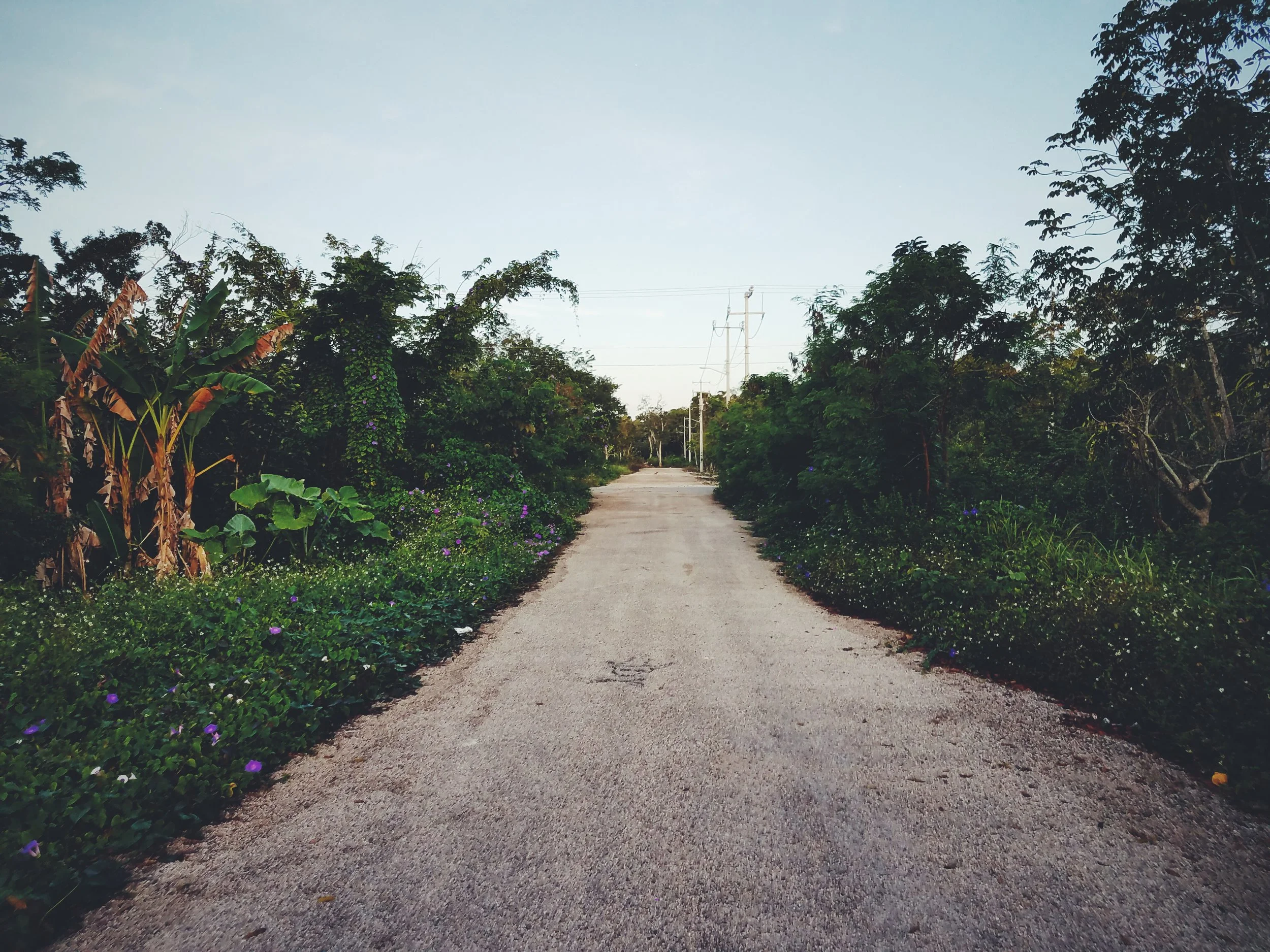 2017-02-18 05.55.06 1.jpg