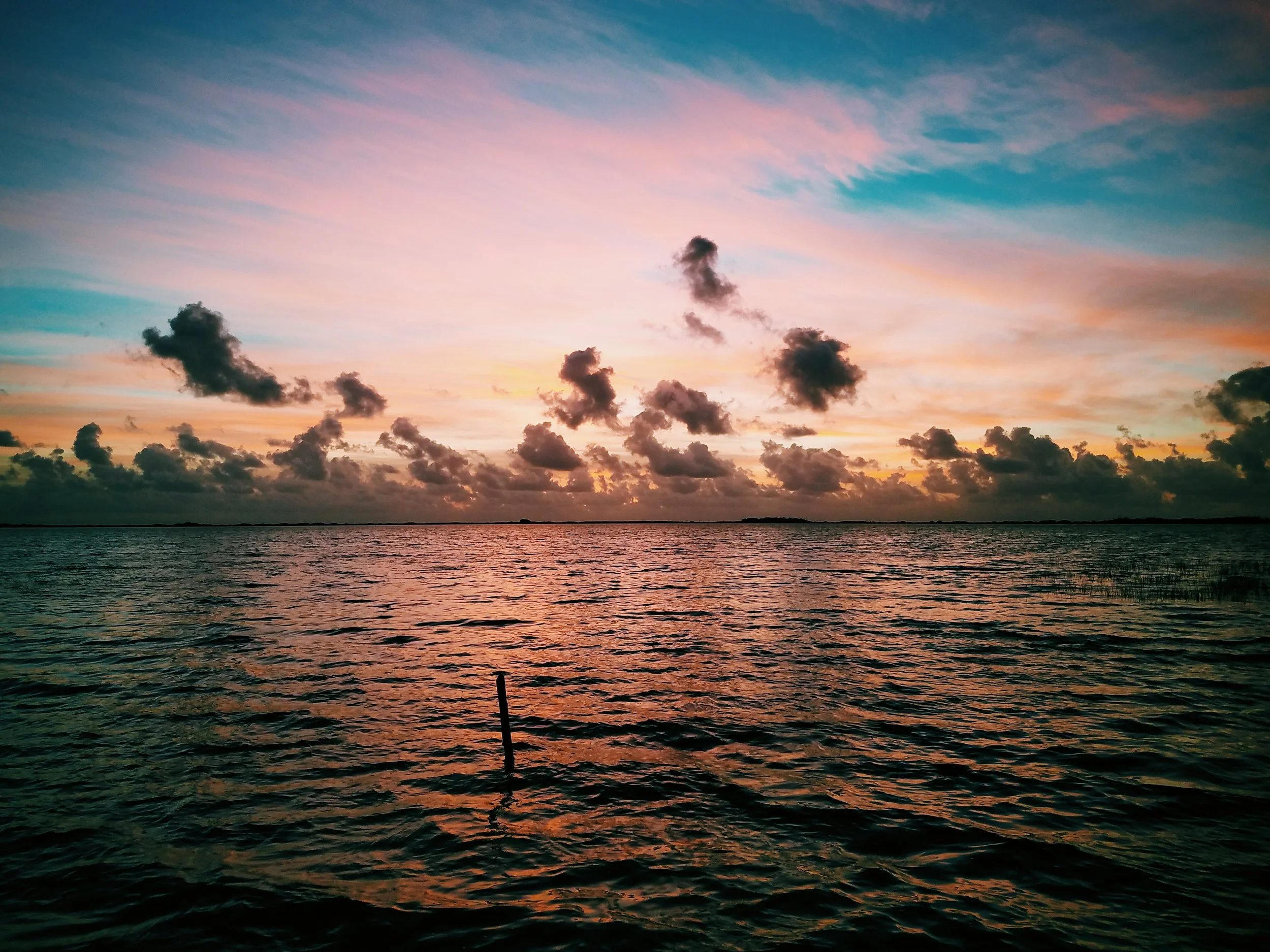 2017-02-18 05.55.30 1.jpg