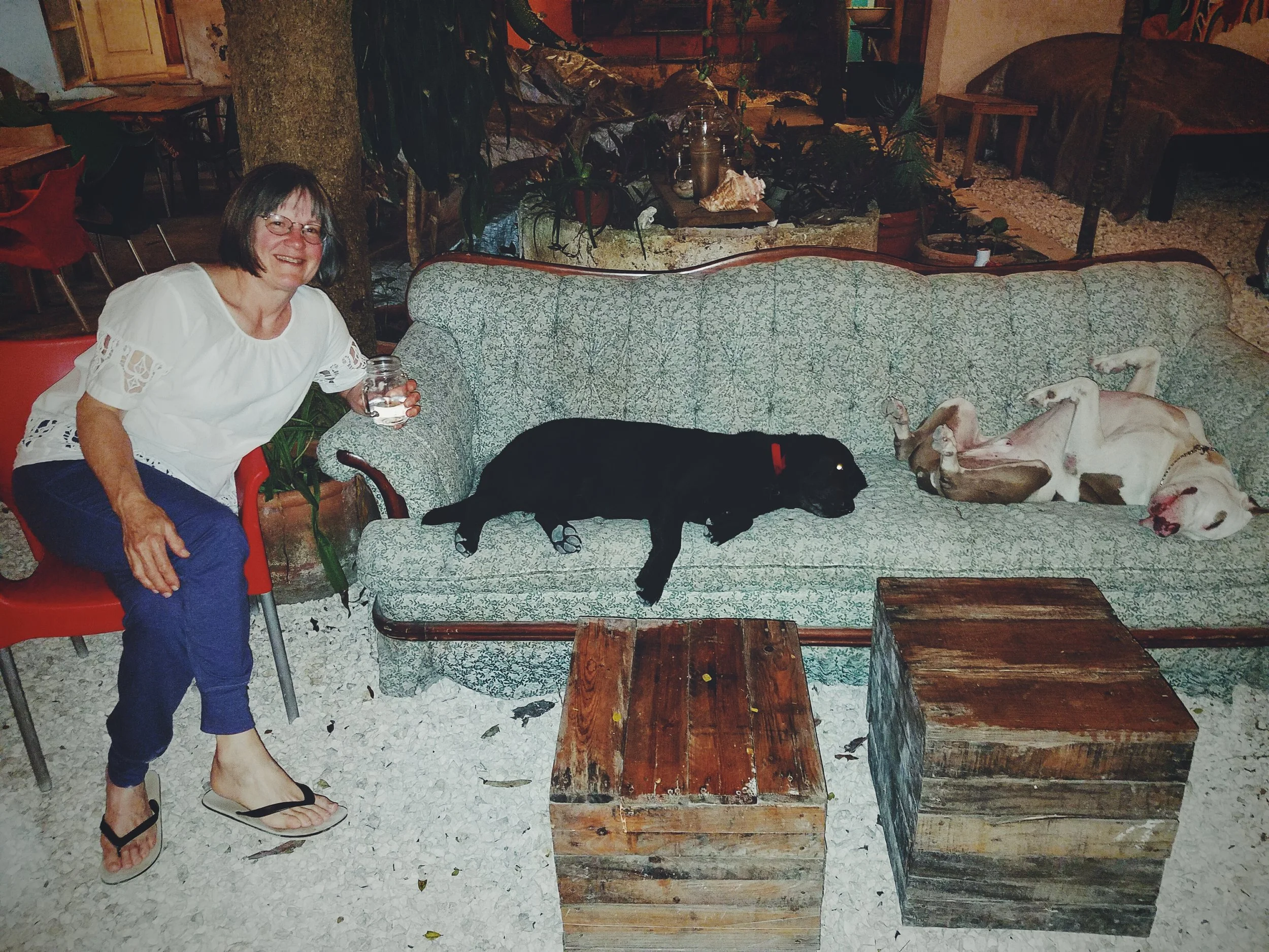 2017-02-19 08.48.02 1.jpg