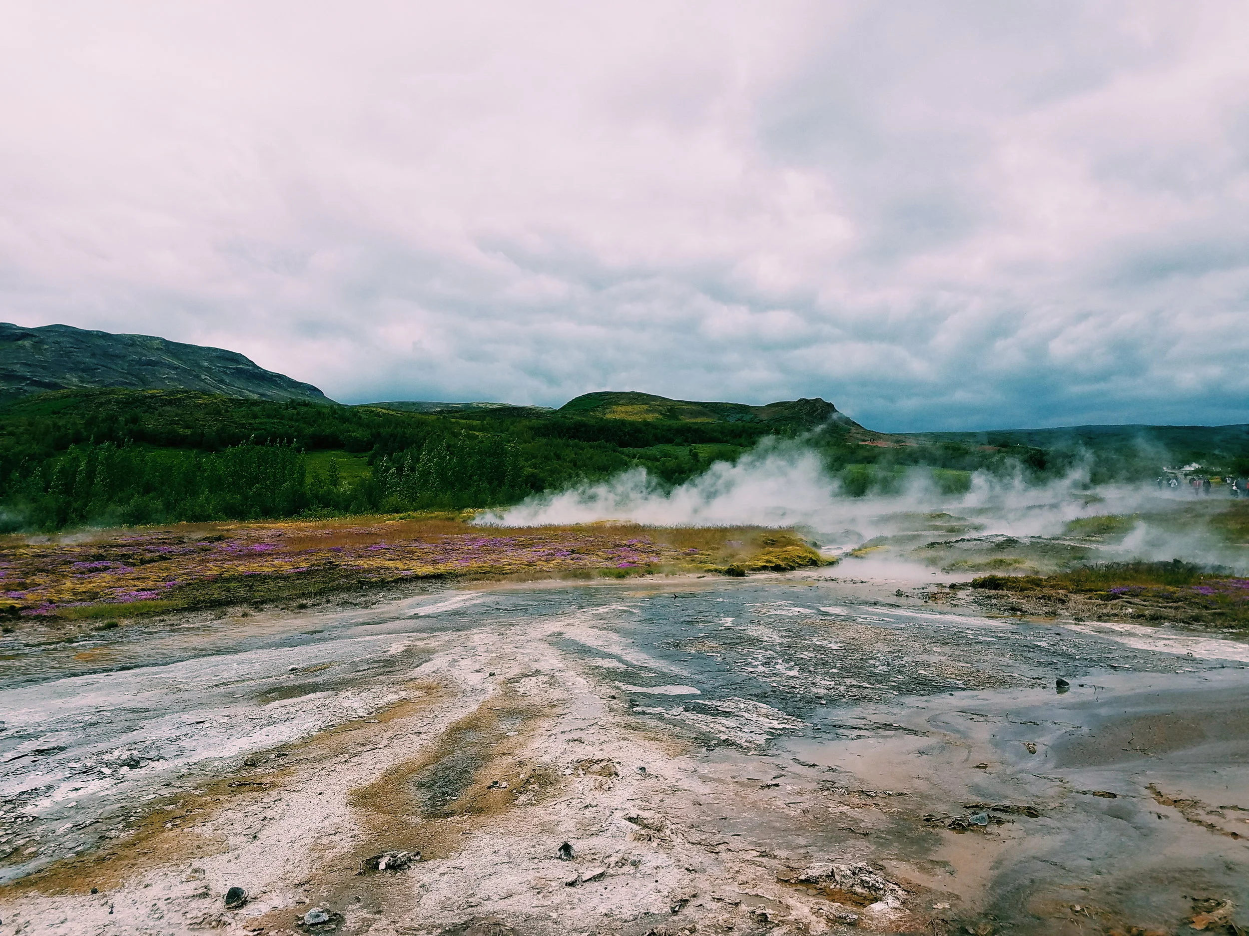 2017-07-03 06.22.16 1.jpg