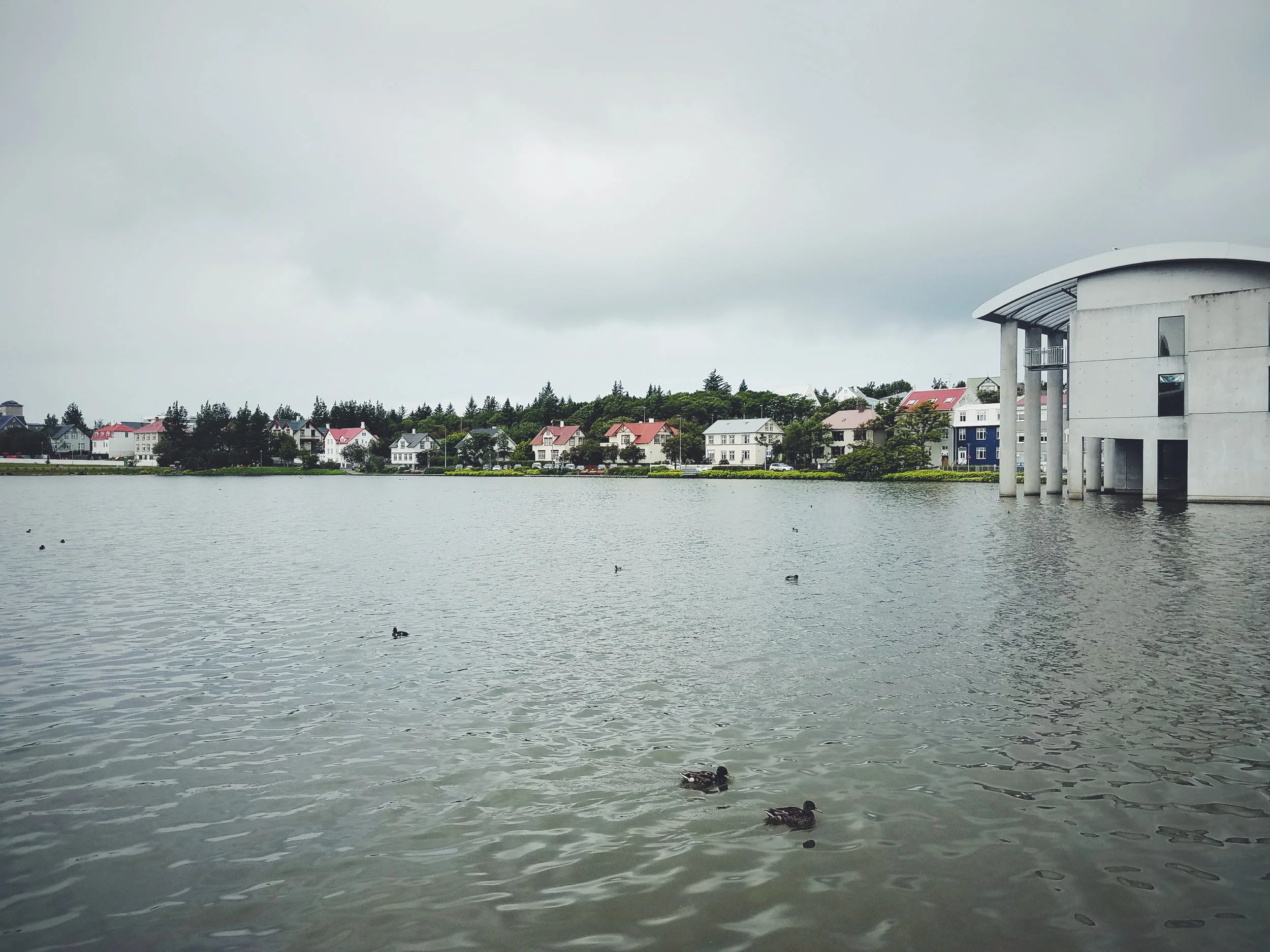 2017-07-06 02.29.53 1.jpg