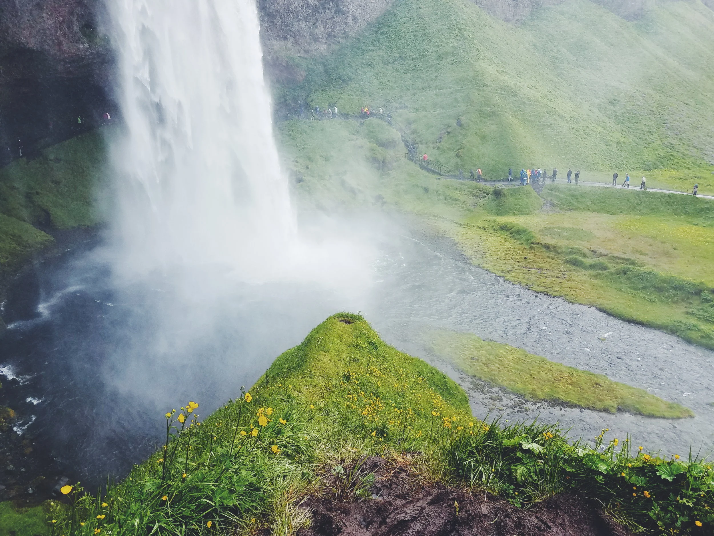 2017-07-04 04.57.36 1.jpg