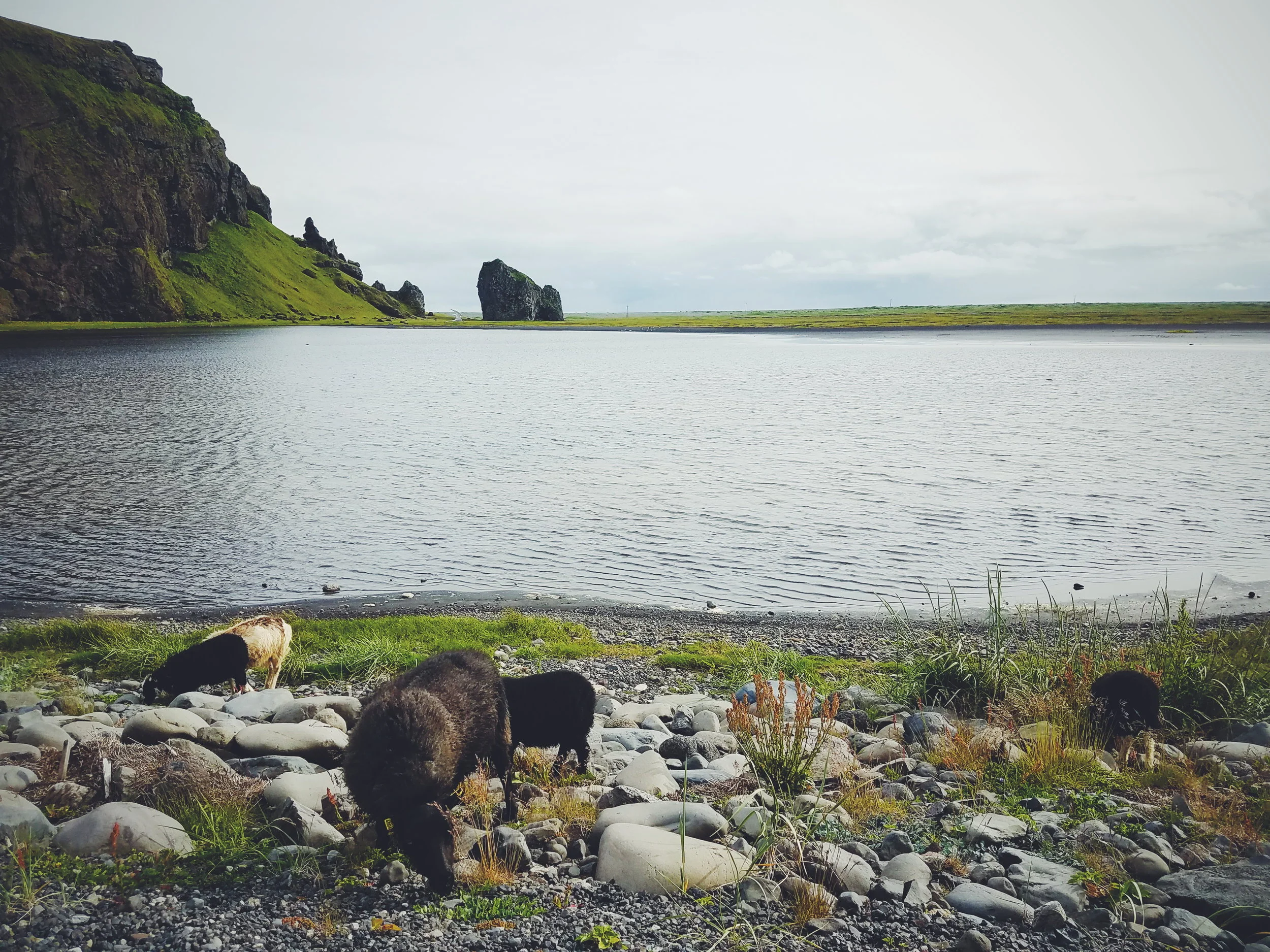 2017-07-06 02.29.21 1.jpg