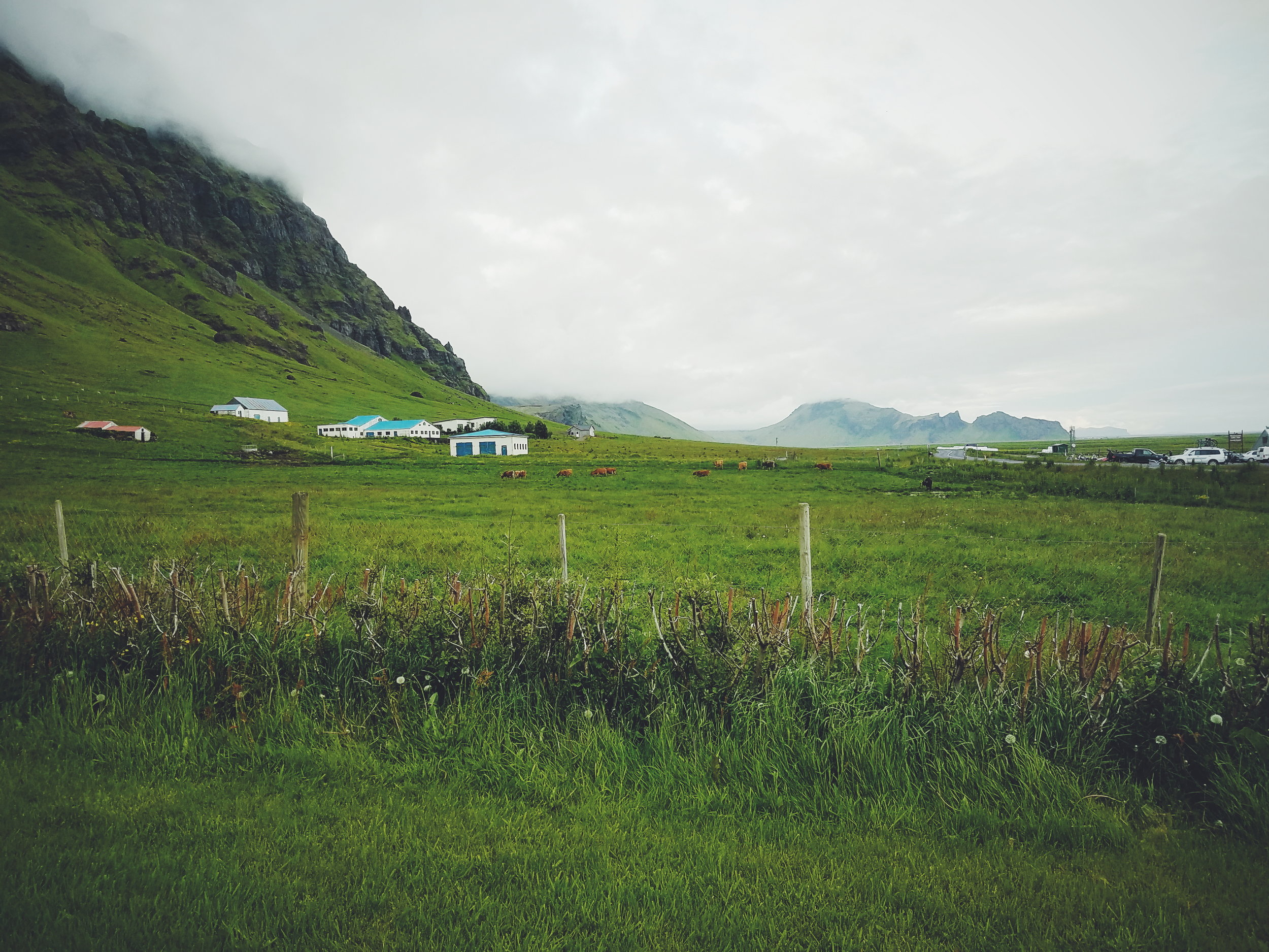 2017-07-07 10.28.31 3.jpg