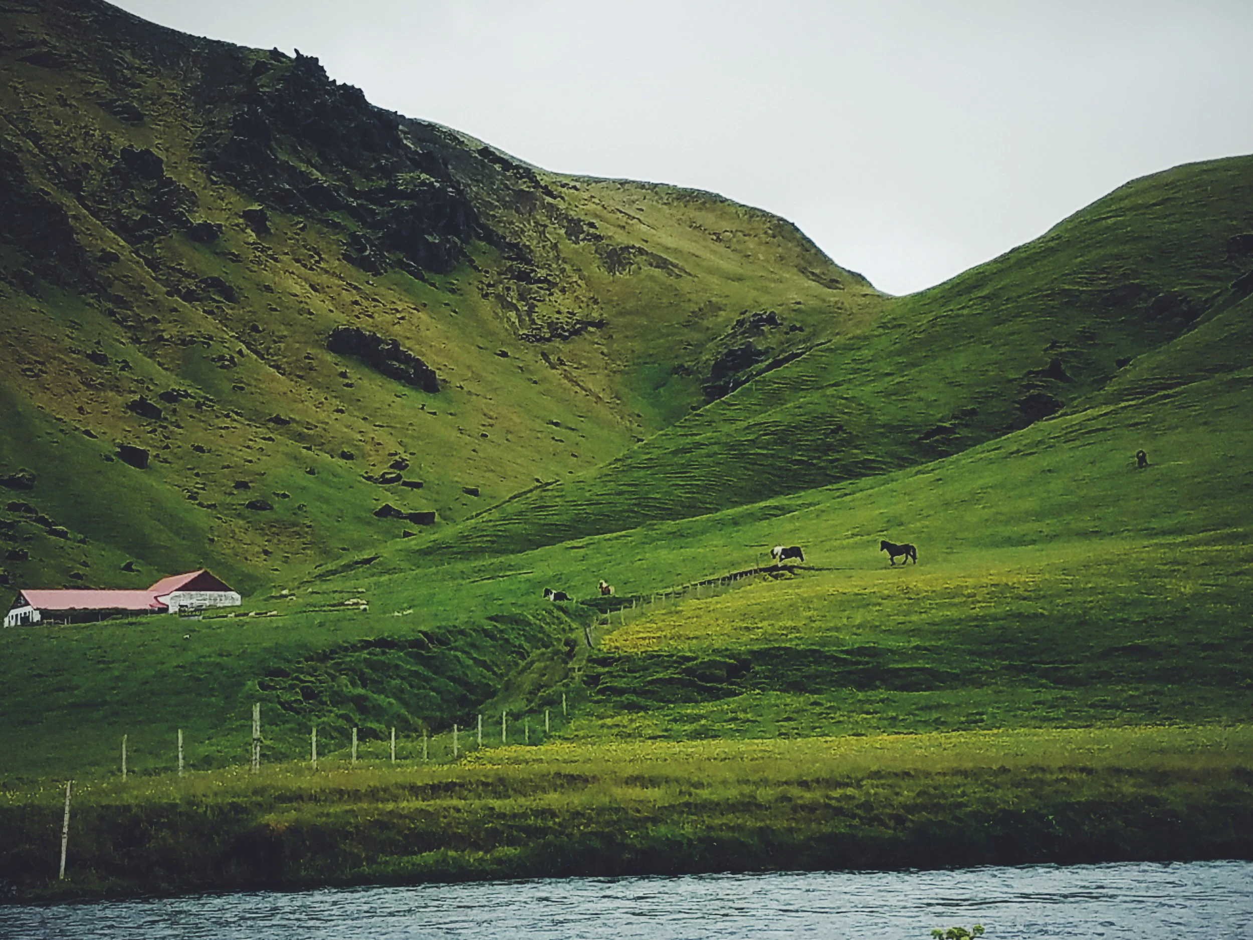 2017-07-07 10.28.17 2.jpg