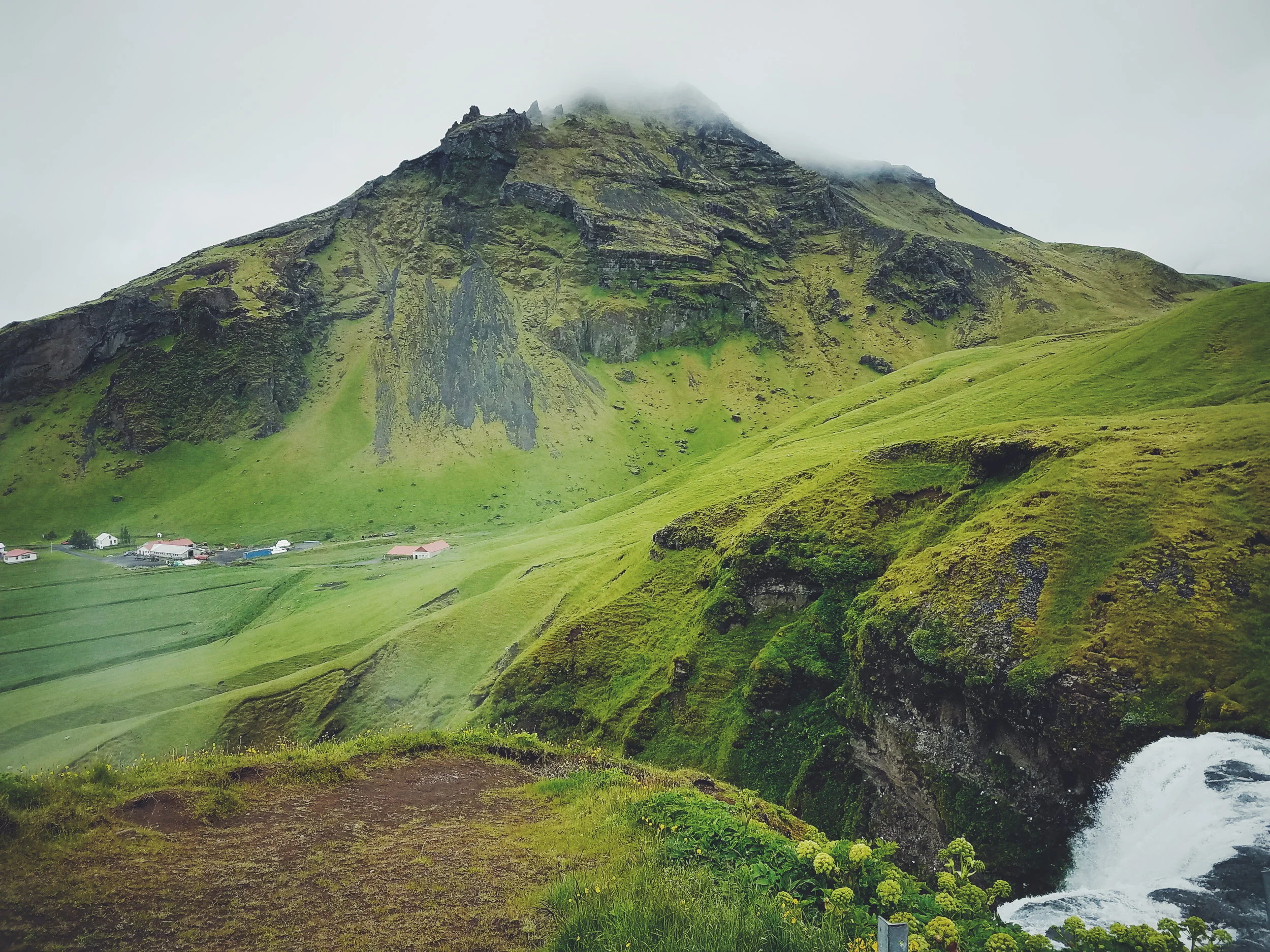 2017-07-07 10.28.20 1.jpg