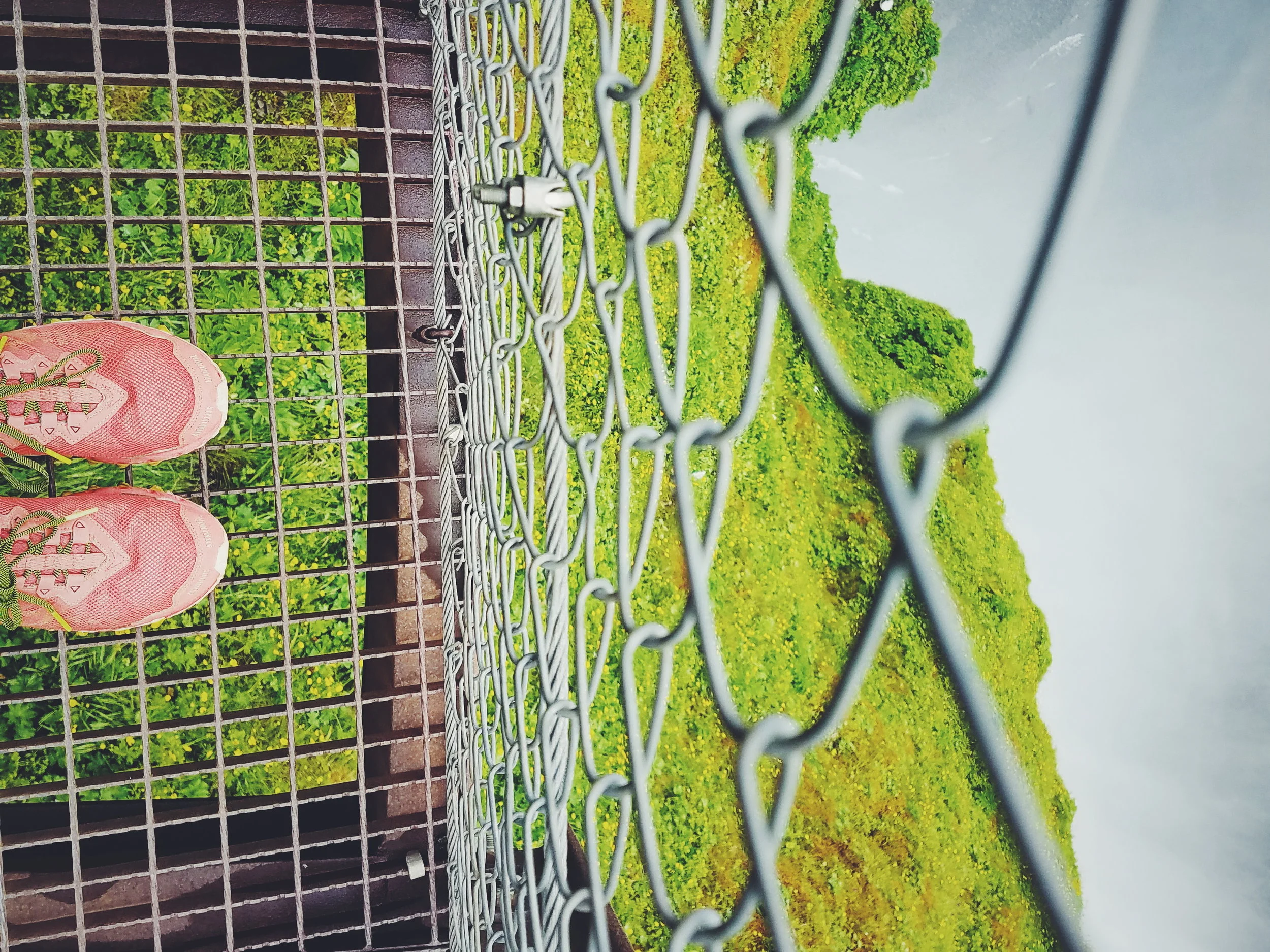 2017-07-07 10.28.22 1.jpg