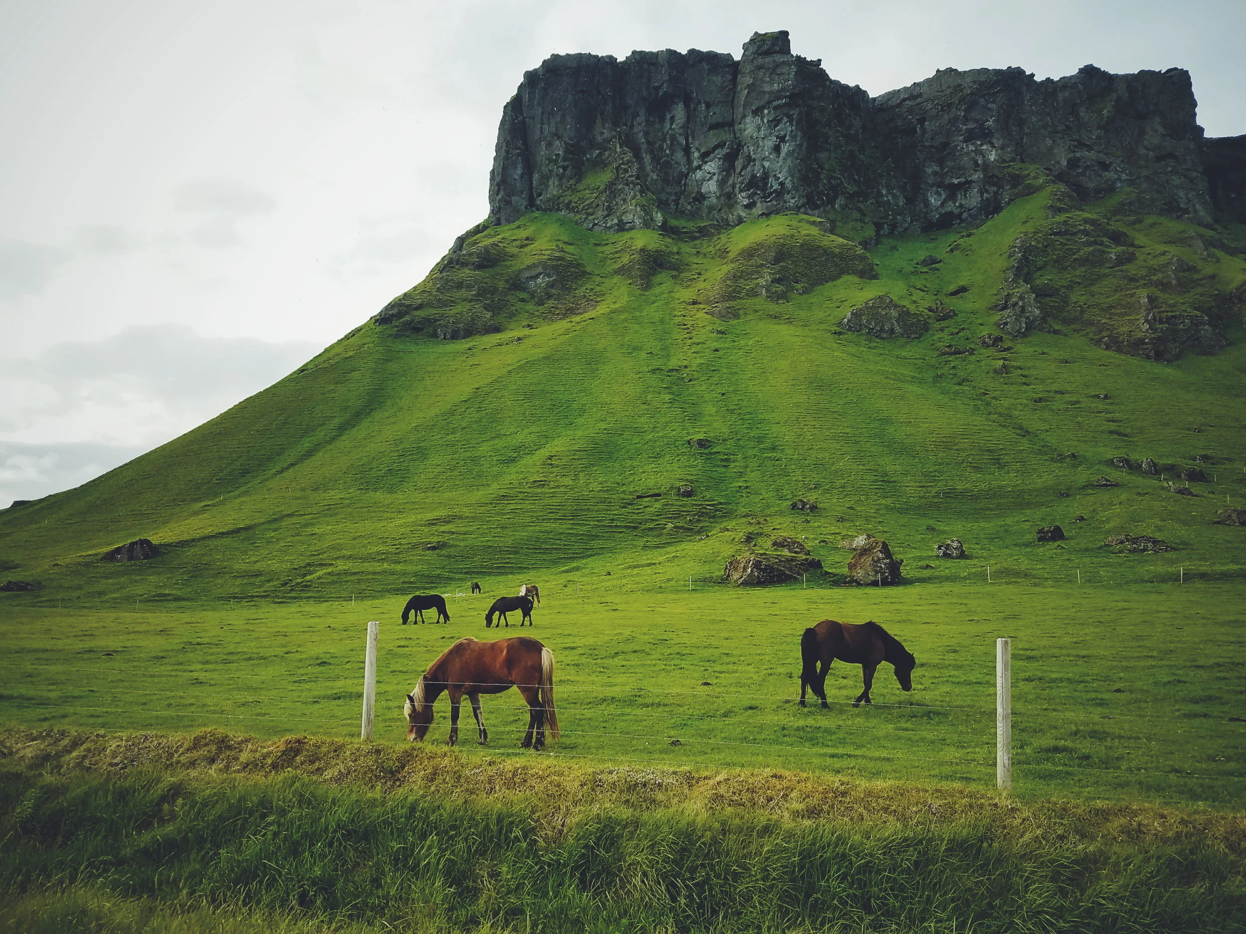 2017-07-07 10.28.33 3.jpg