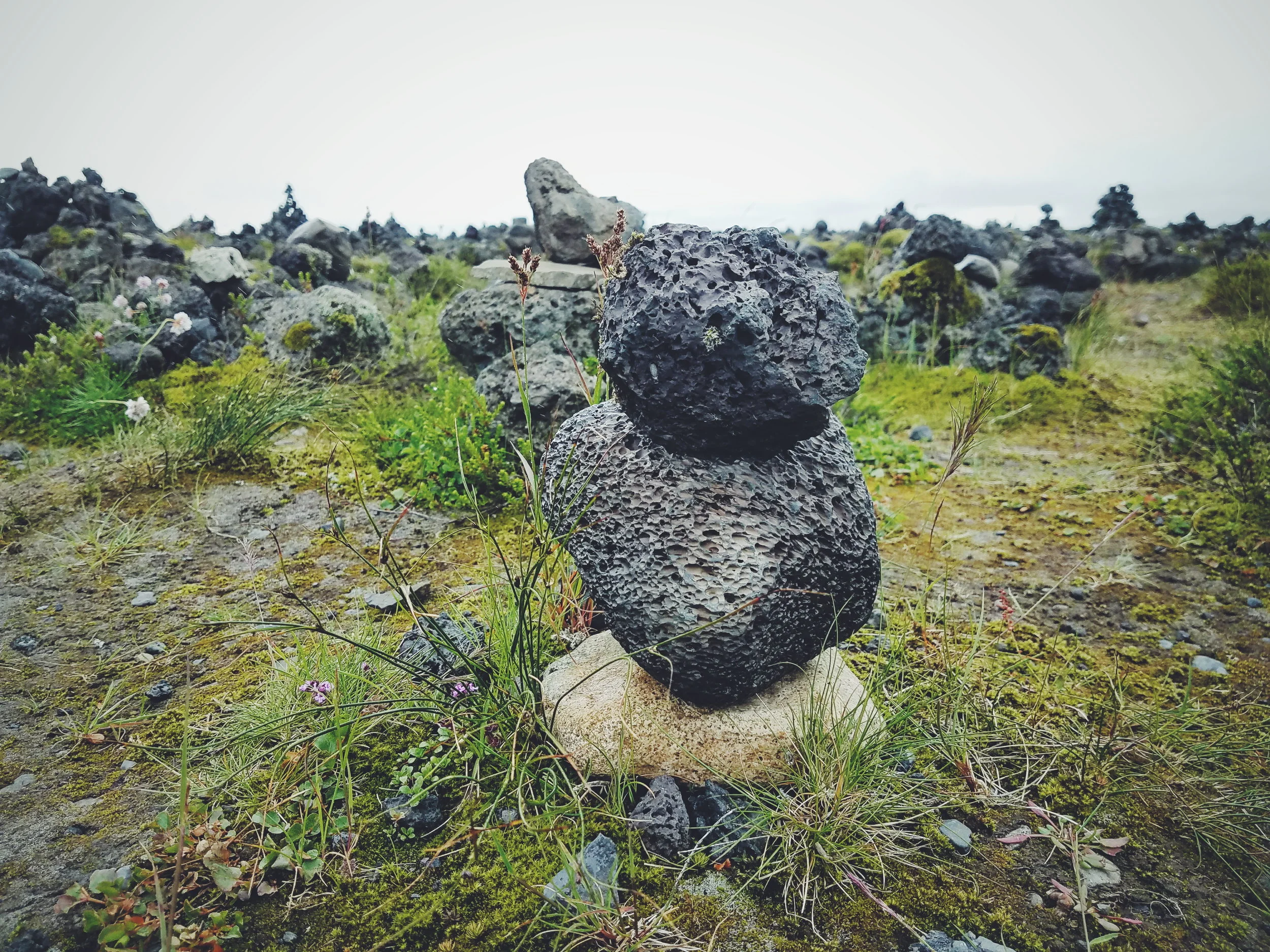 2017-07-07 10.49.27 1.jpg