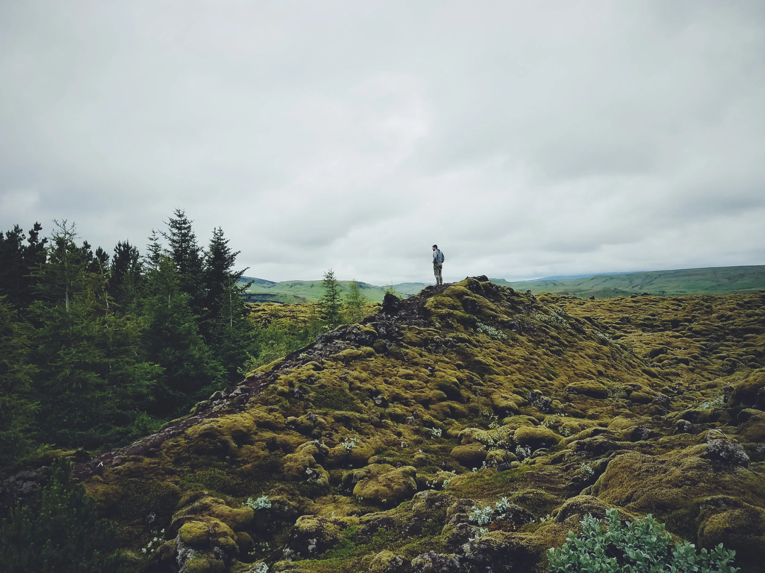 2017-07-07 10.49.29 1.jpg