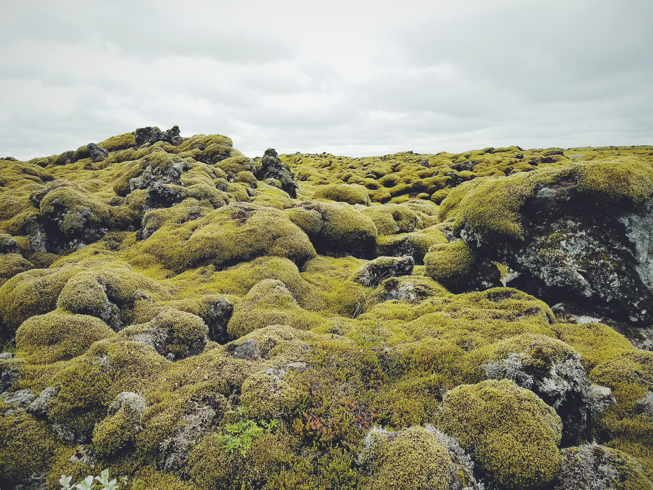 2017-07-07 10.49.30 2.jpg