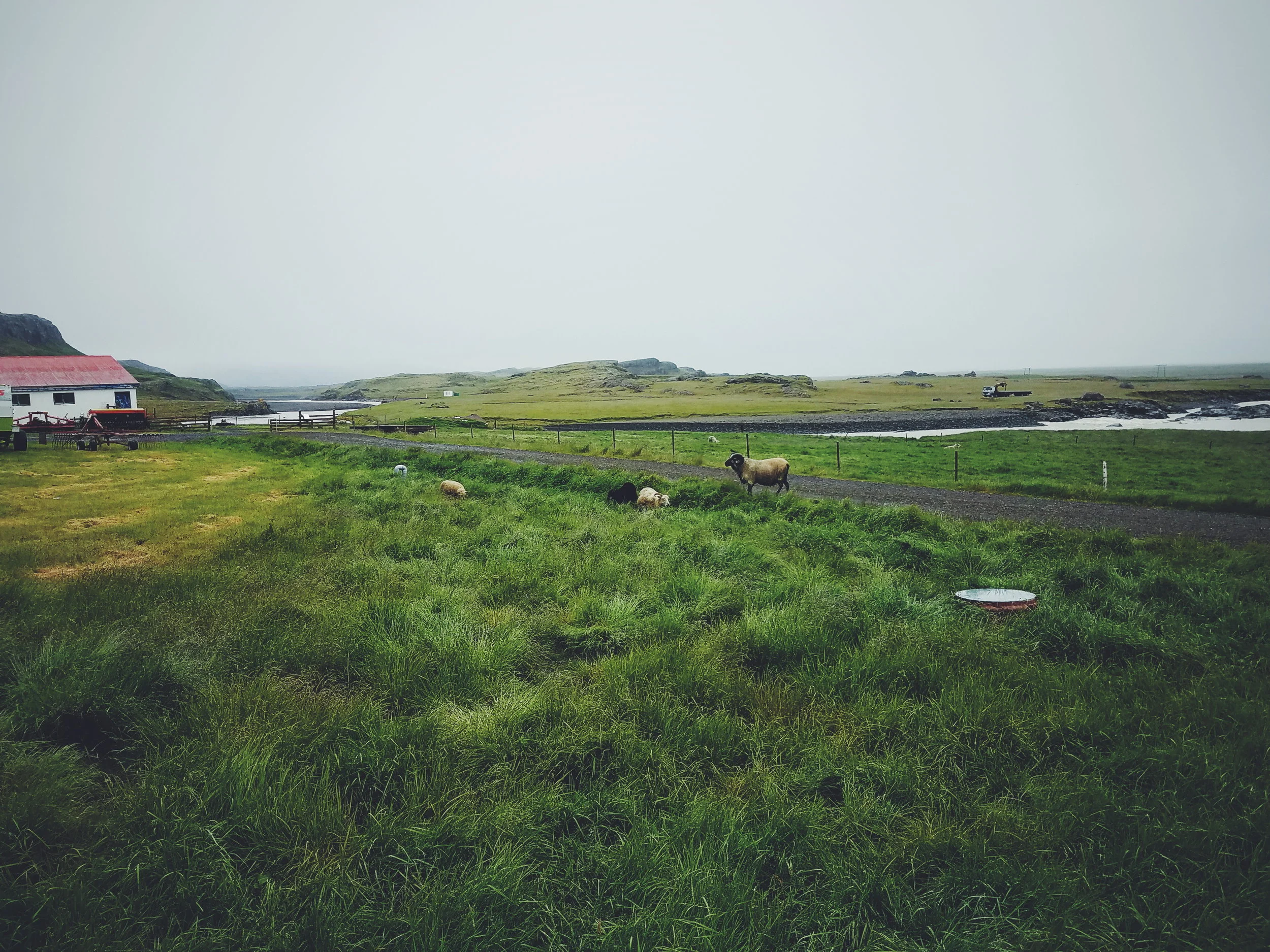 2017-07-07 10.49.36 2.jpg