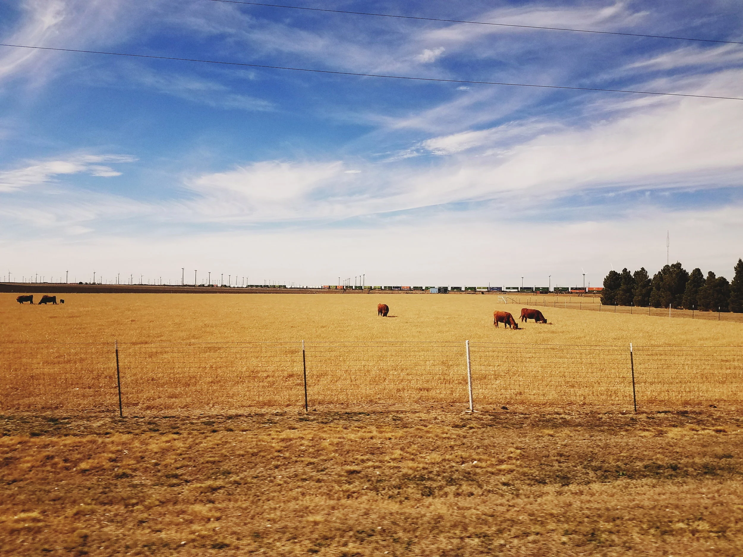 2018-03-05 05.00.50 2.jpg