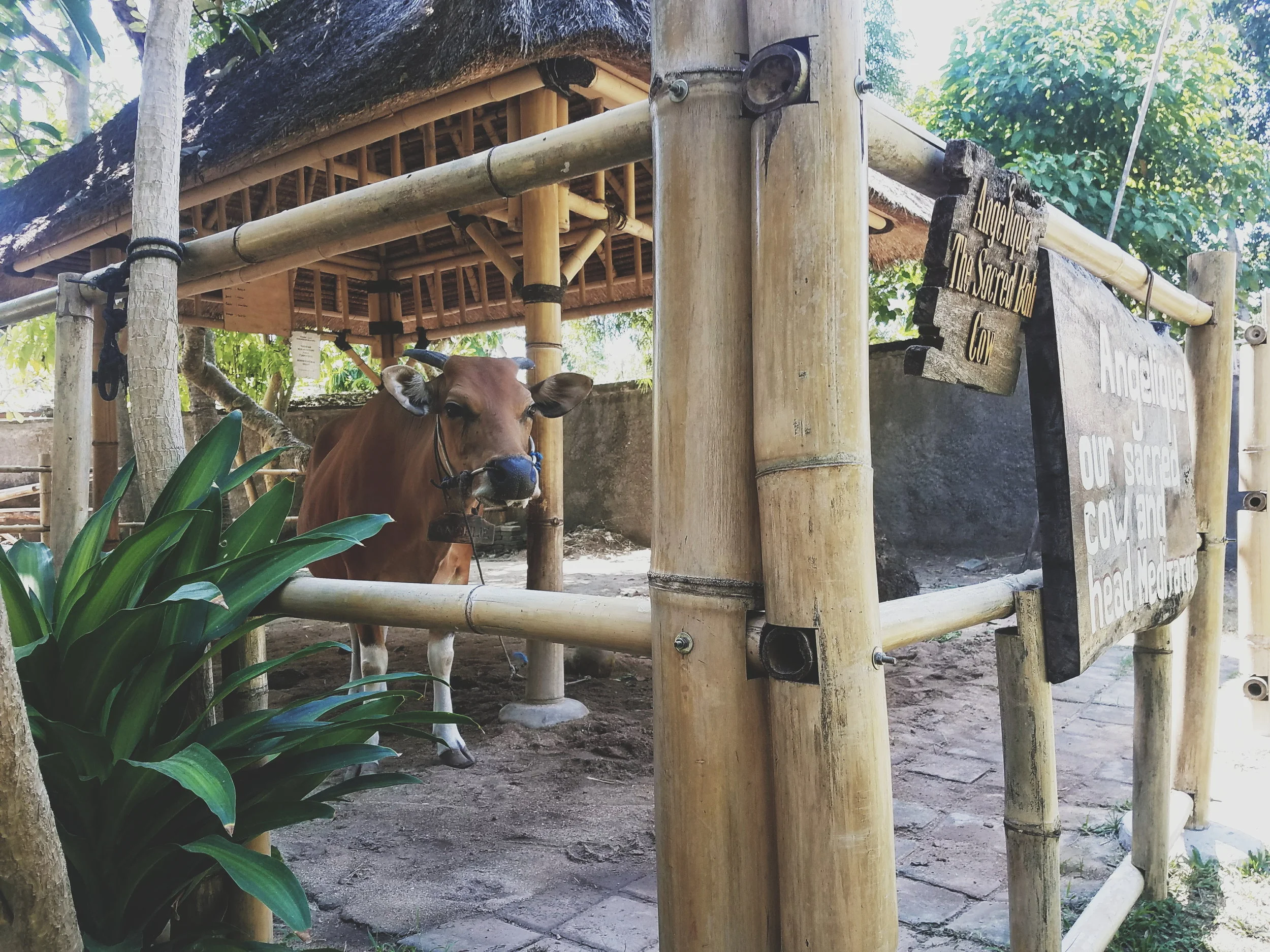 2018-05-07 01.21.41 1.jpg