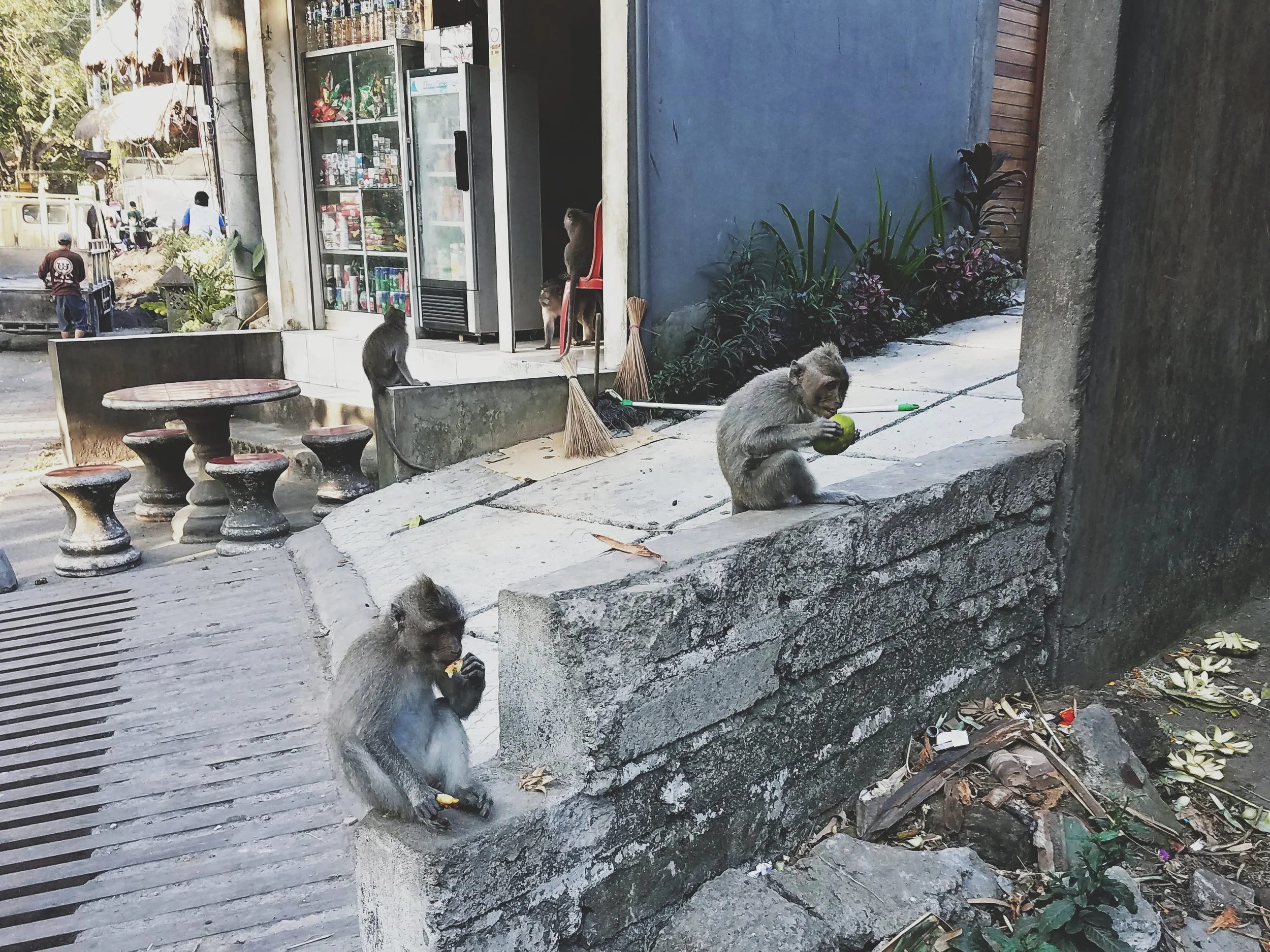 2018-05-08 08.43.43 1.jpg