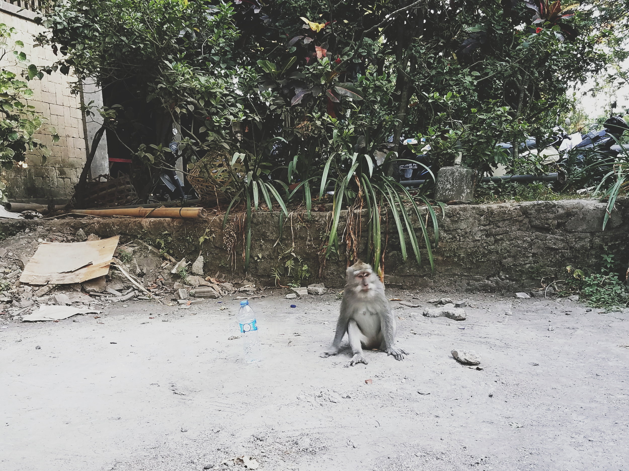 2018-05-08 08.43.45 1.jpg