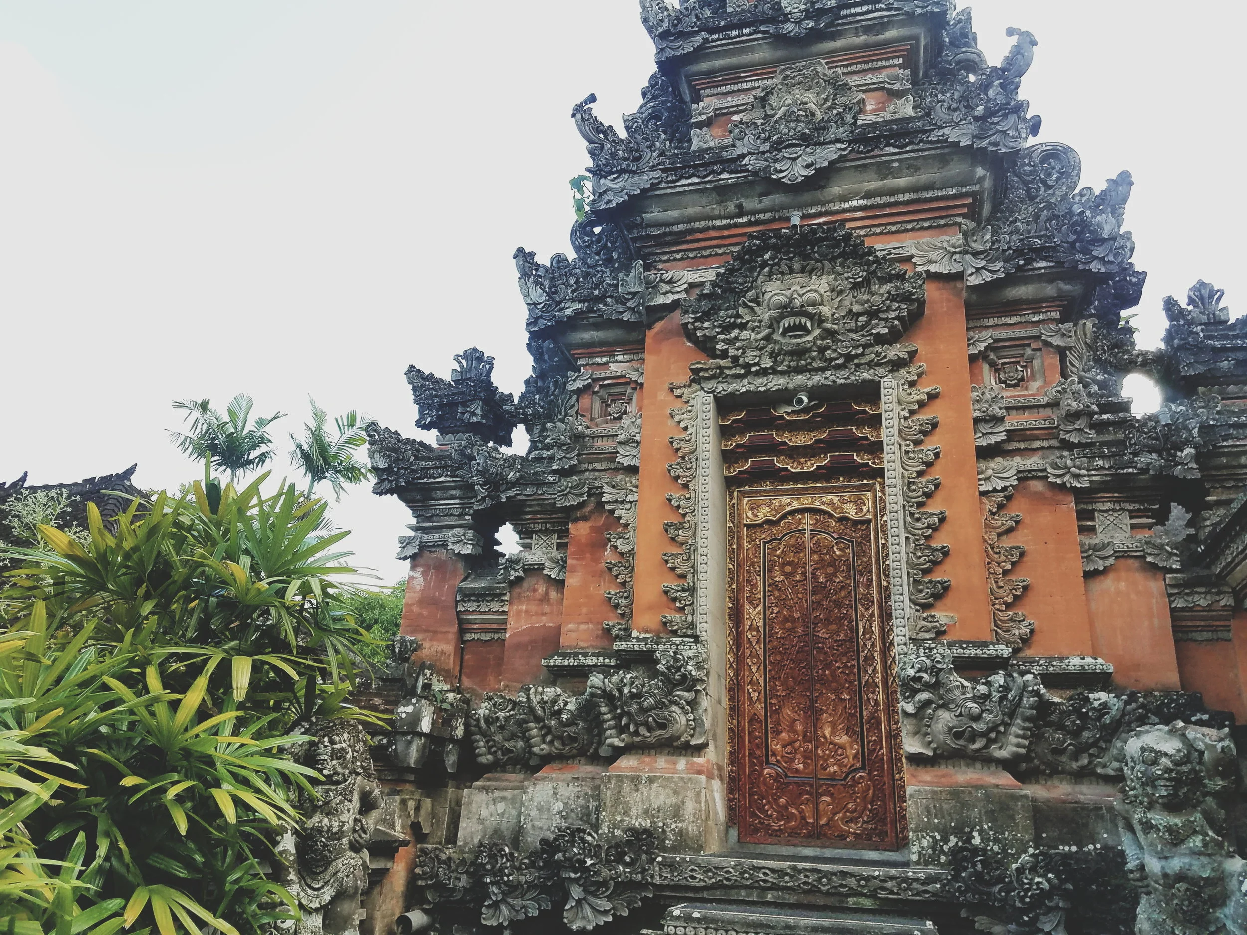 2018-05-08 08.43.56 1.jpg