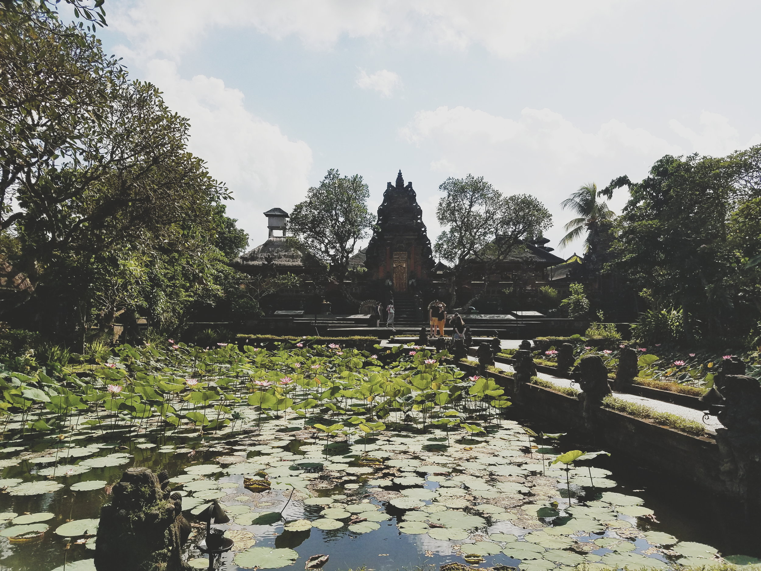 2018-05-08 08.43.58 1.jpg