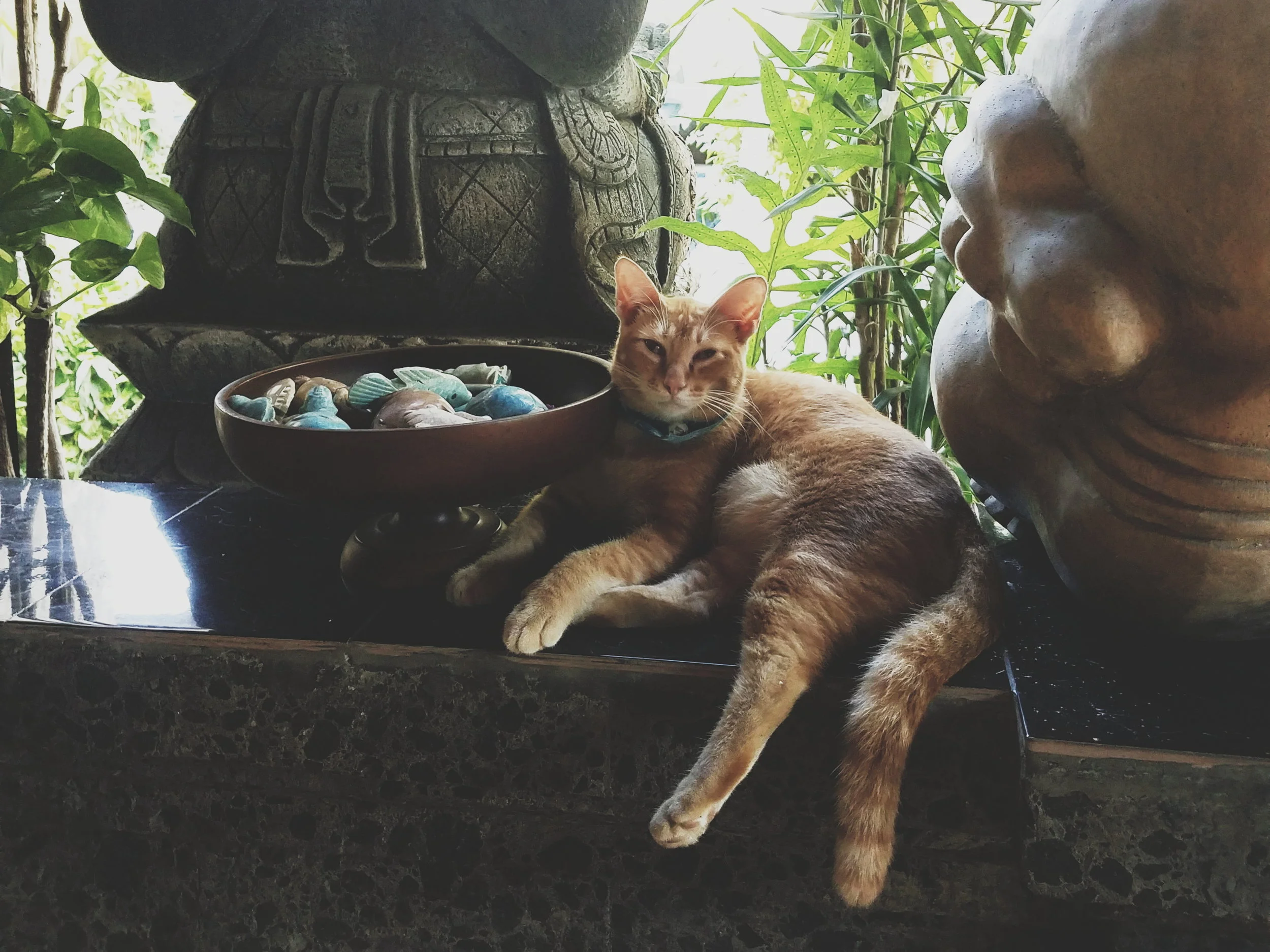 2018-05-30 09.40.32 2.jpg