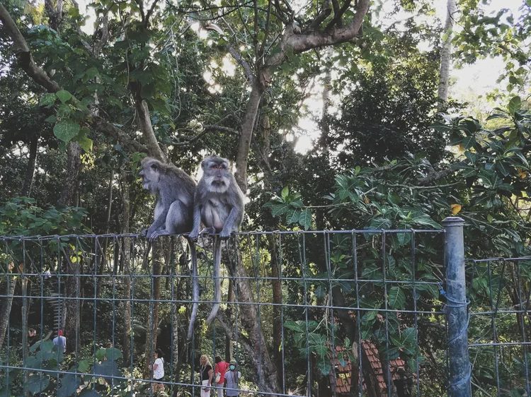 Photograph 33