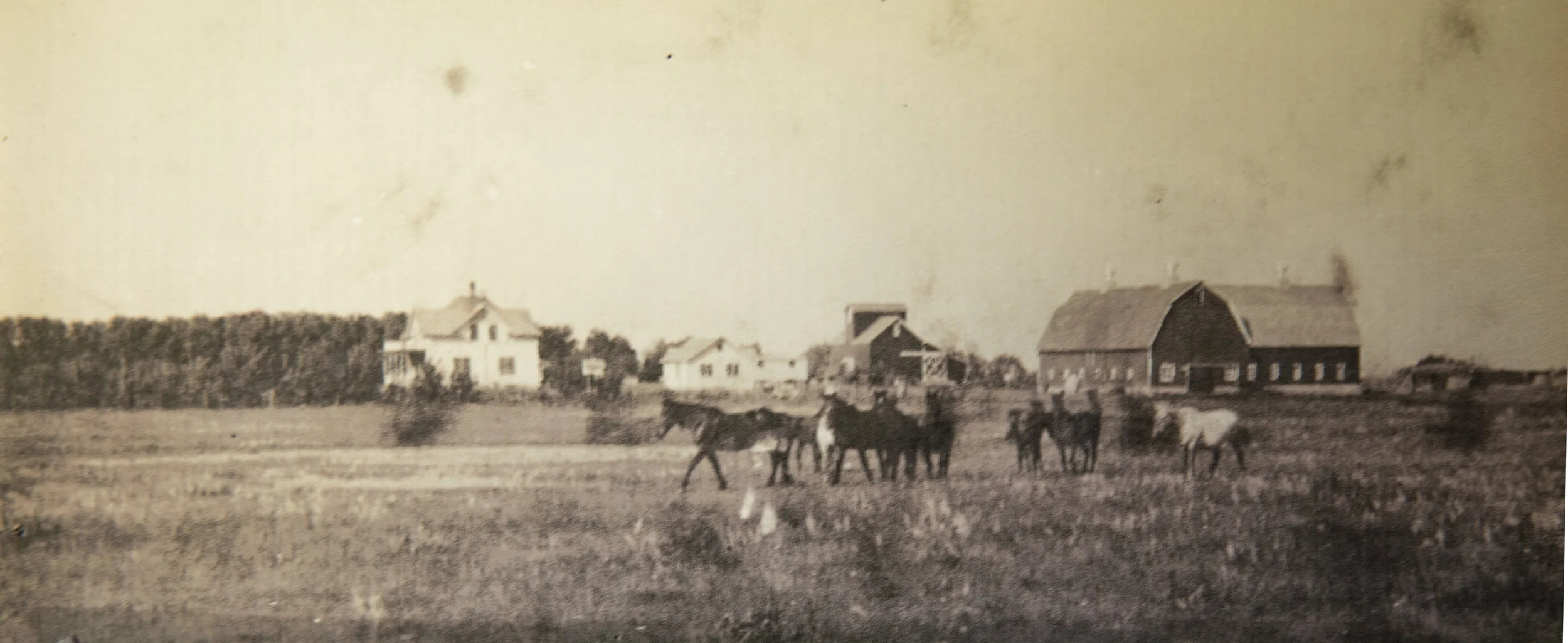 Minnie's childhood farm was known as the Leland farm. It was one of the largest farmsteads in the area.