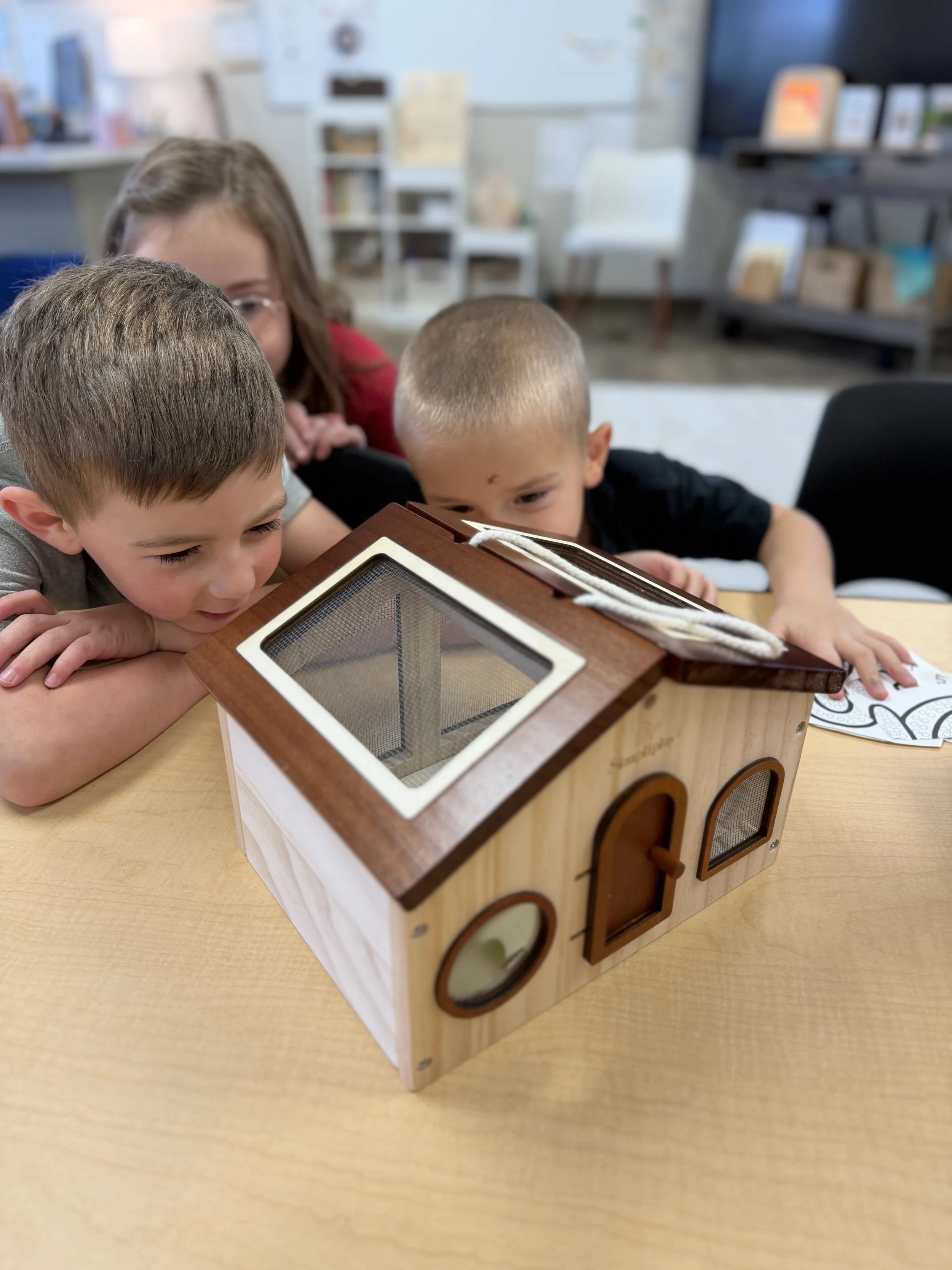 Pre-K Students Discover the Wonder of God’s Creation With A Little Bug And A Big Lesson