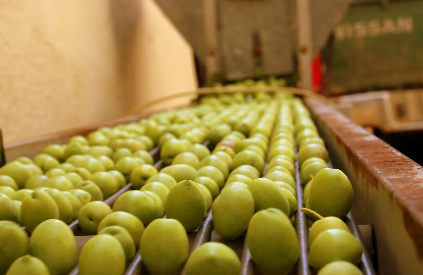 POP ELIES HALKIDIKS.JPG