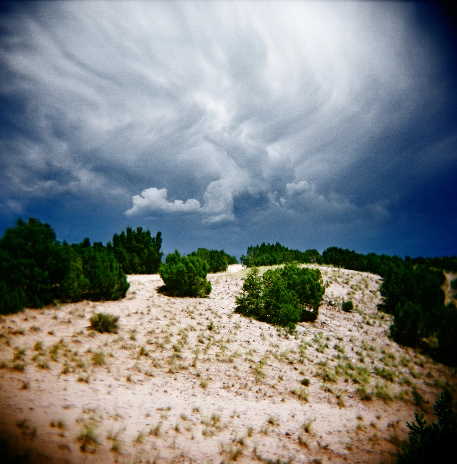 santa_fe_holga_013.jpg