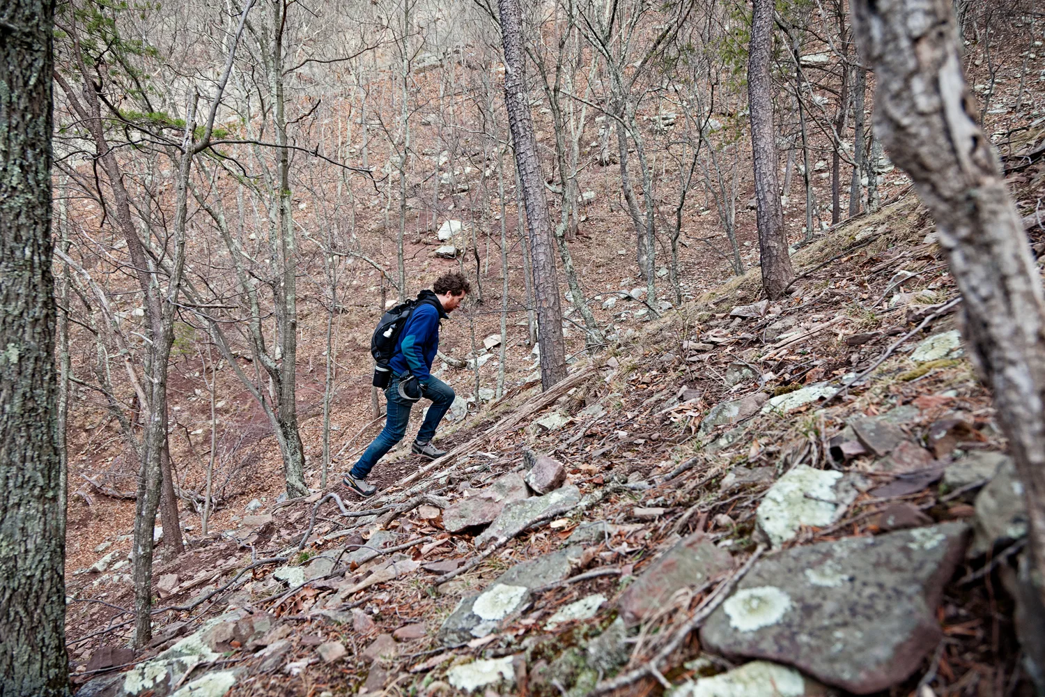 _MG_6736.jpg