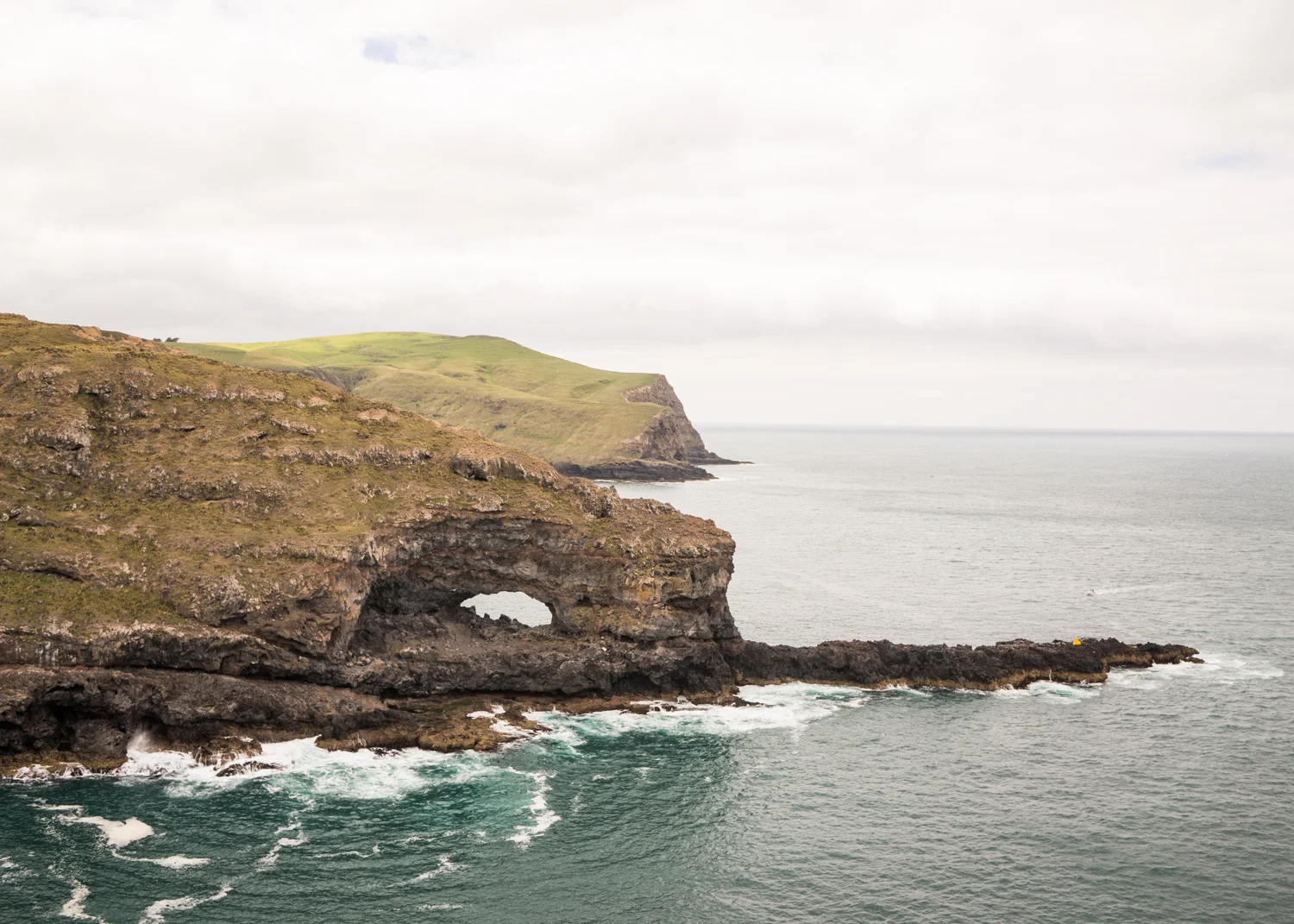 2016_Feb_NewZealand_0160.jpg